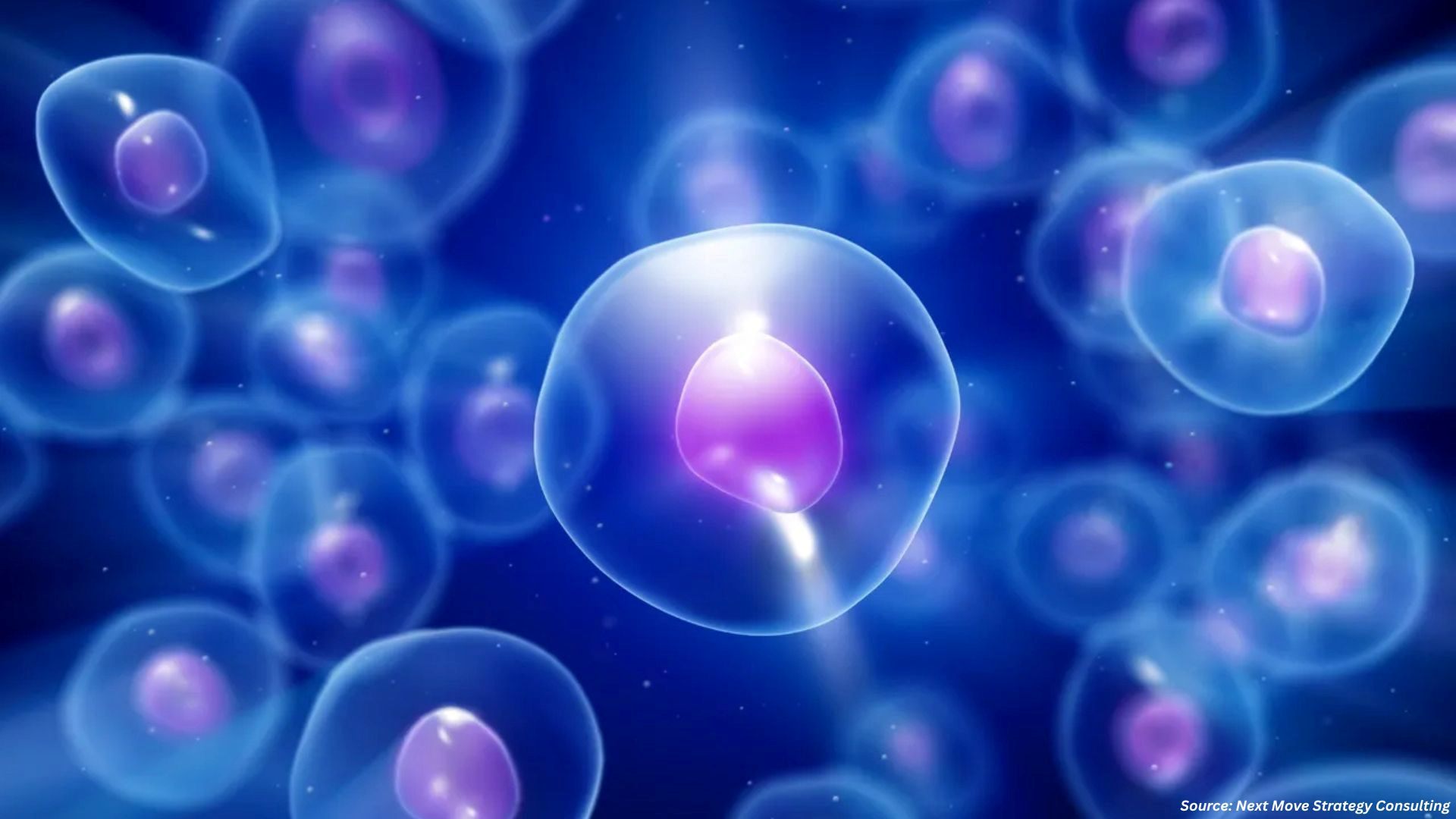 Orthobiologics Market: Regenerative Therapies Resh...