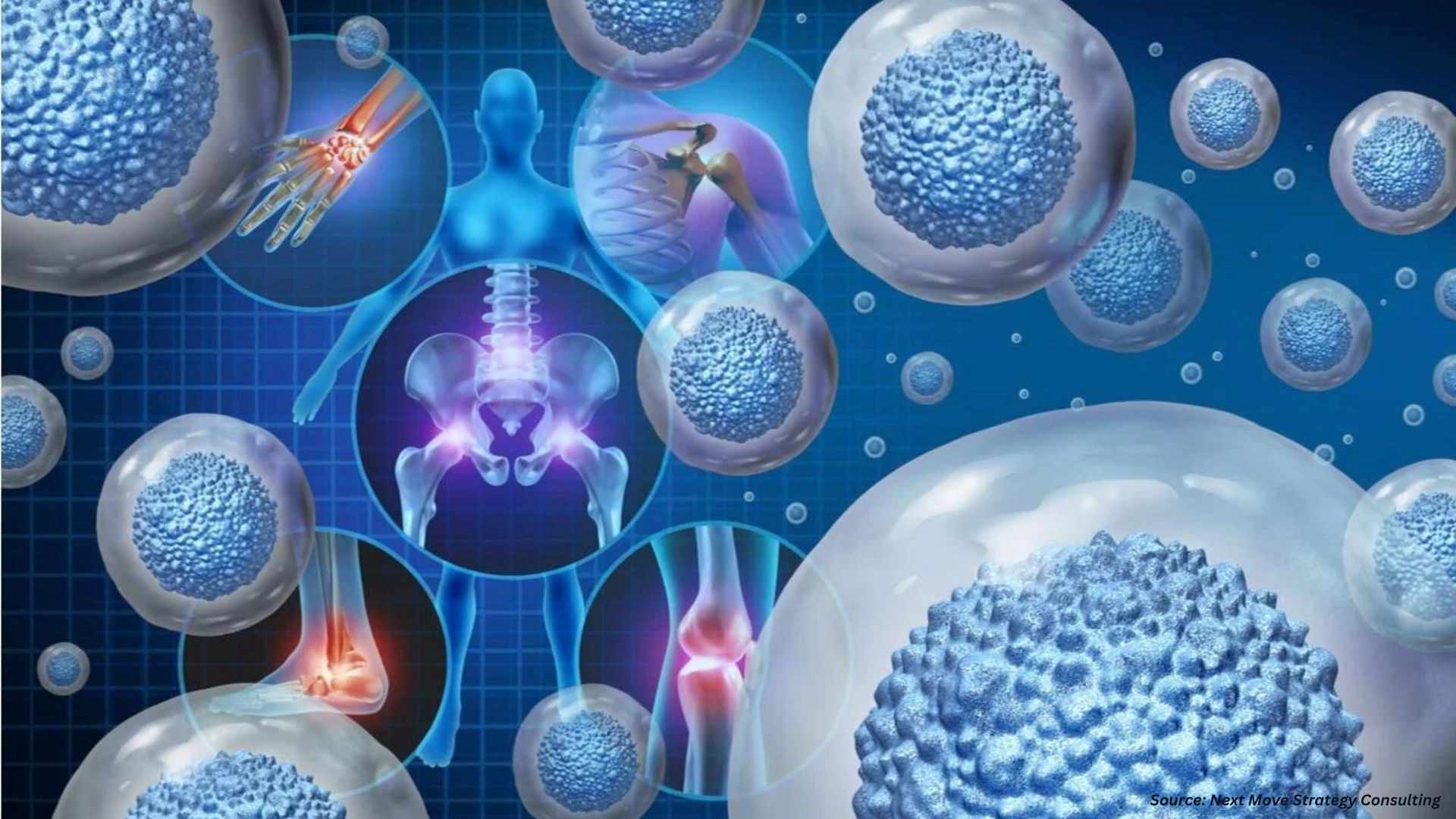 Orthobiologics Market: Registry, Clinical Insights & Investment Trends