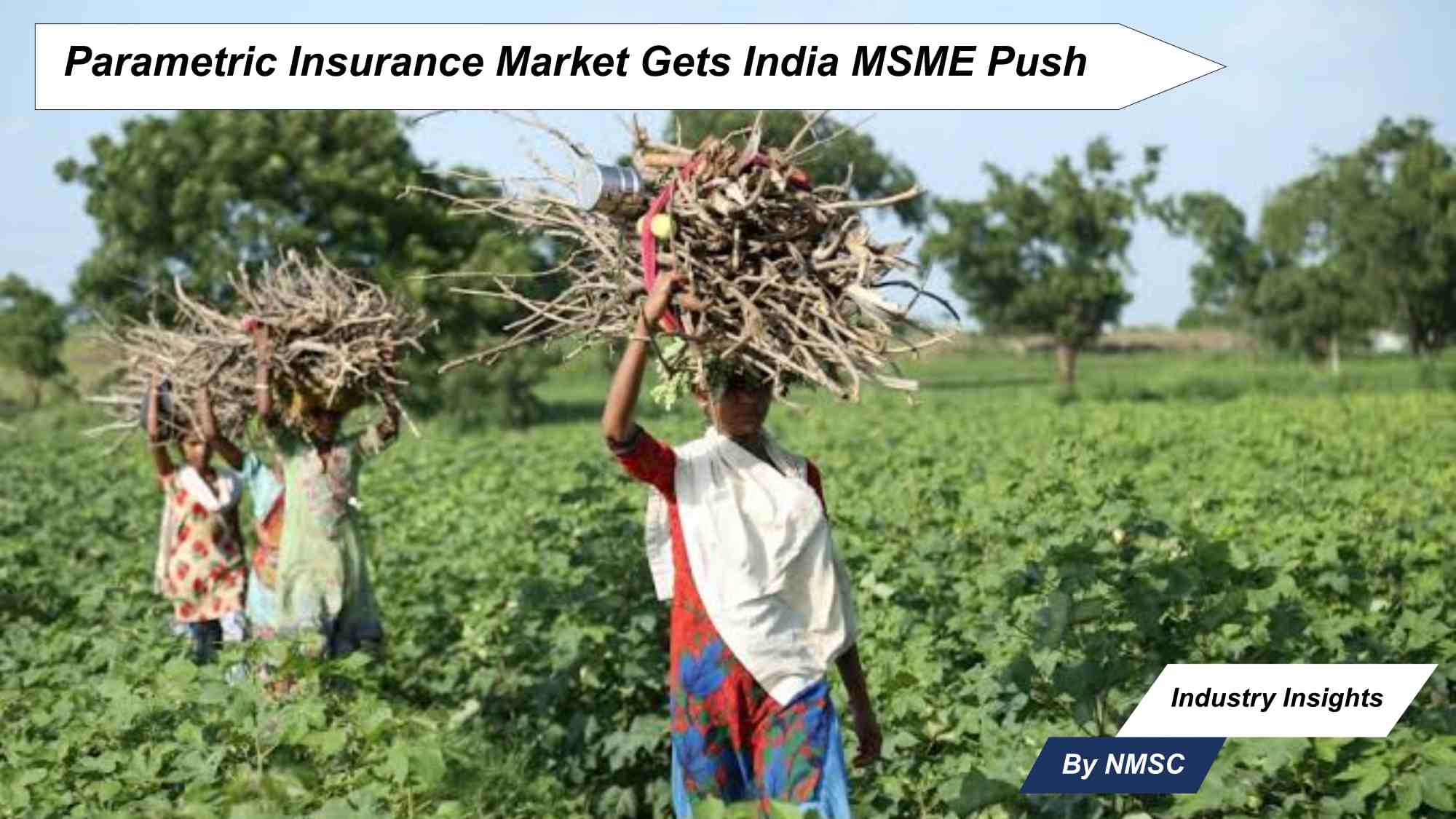 Parametric Insurance Market Gets India MSME Push