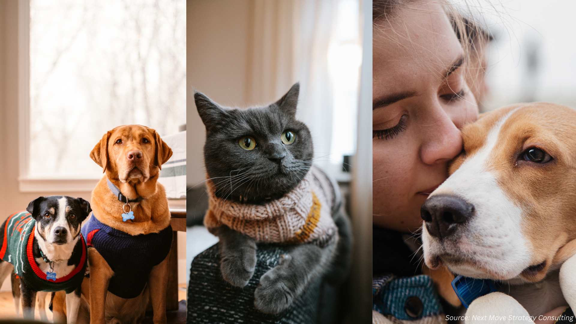 Why is the Pet Clothing Market Seeing Unprecedented Growth?