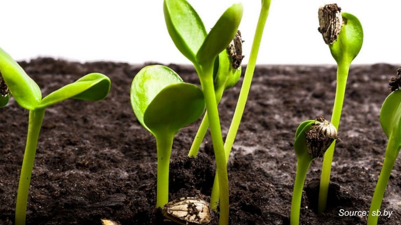 From Nanotechnology to Climate-Resilient Crops: Is...