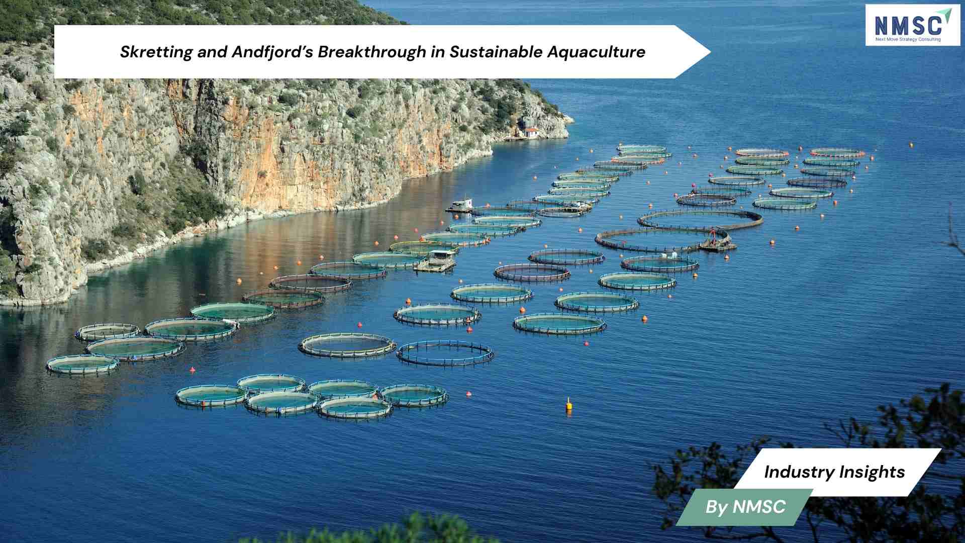 Skretting and Andfjord’s Breakthrough in Sustainable Aquaculture