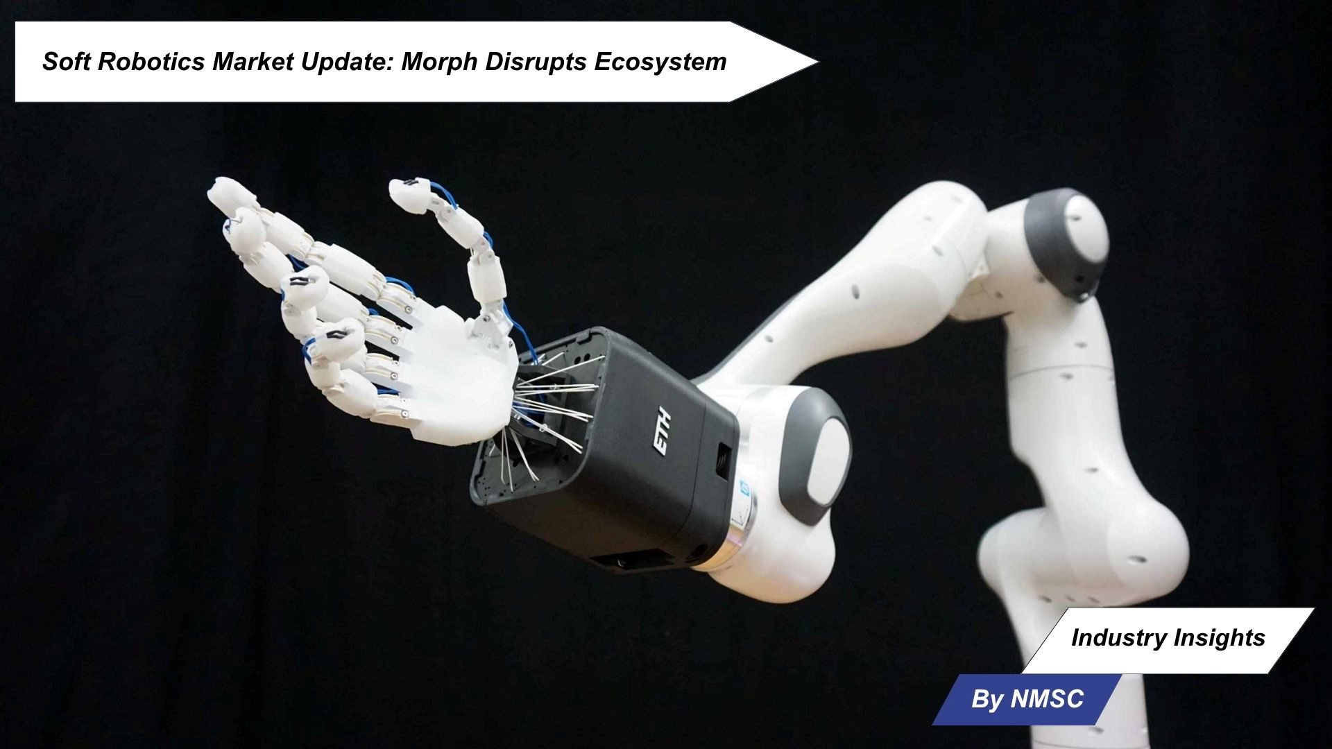 Soft Robotics Market Update: Morph Disrupts Ecosystem