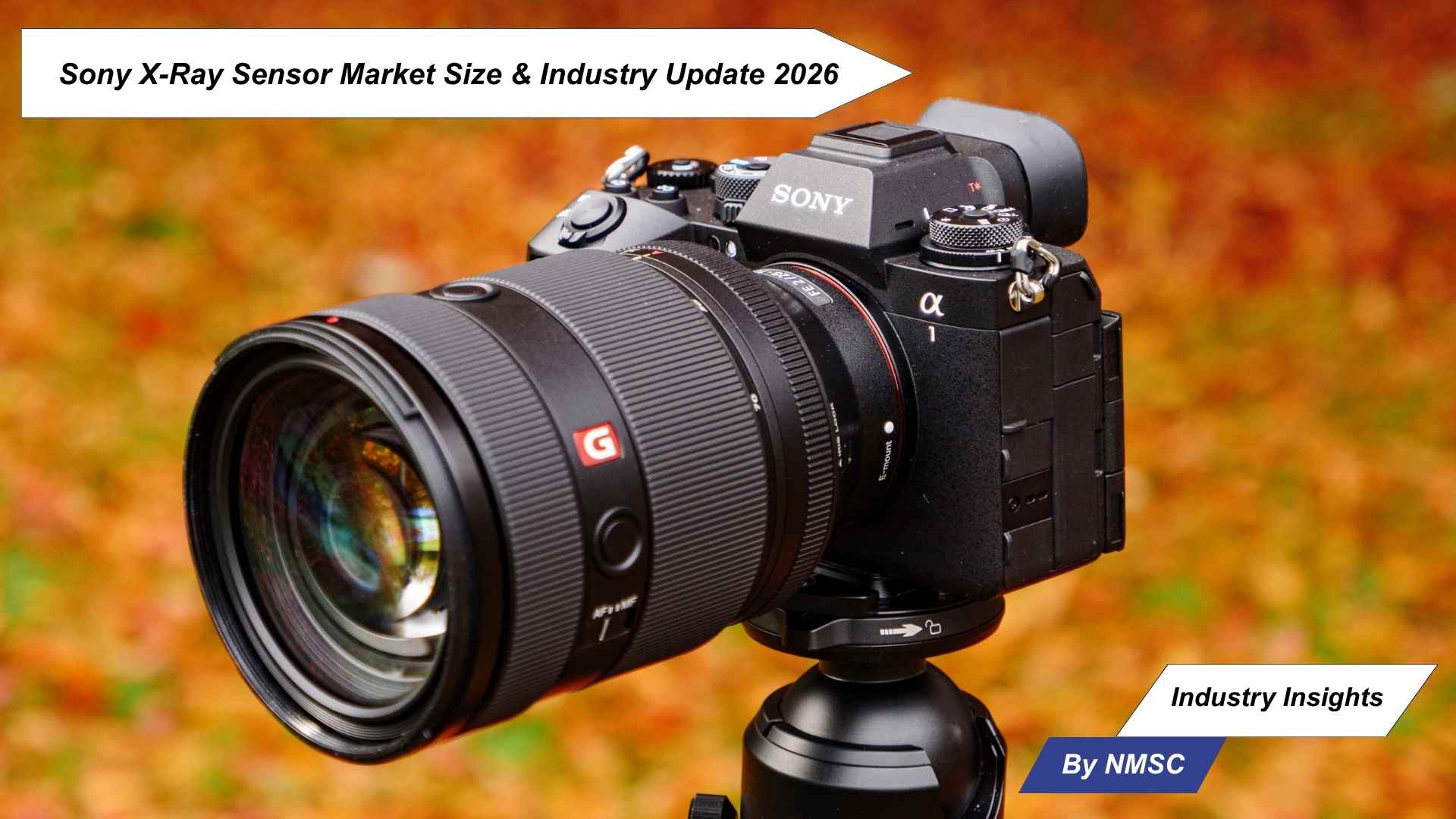 Sony X-Ray Sensor Market Size & Industry Update 2026