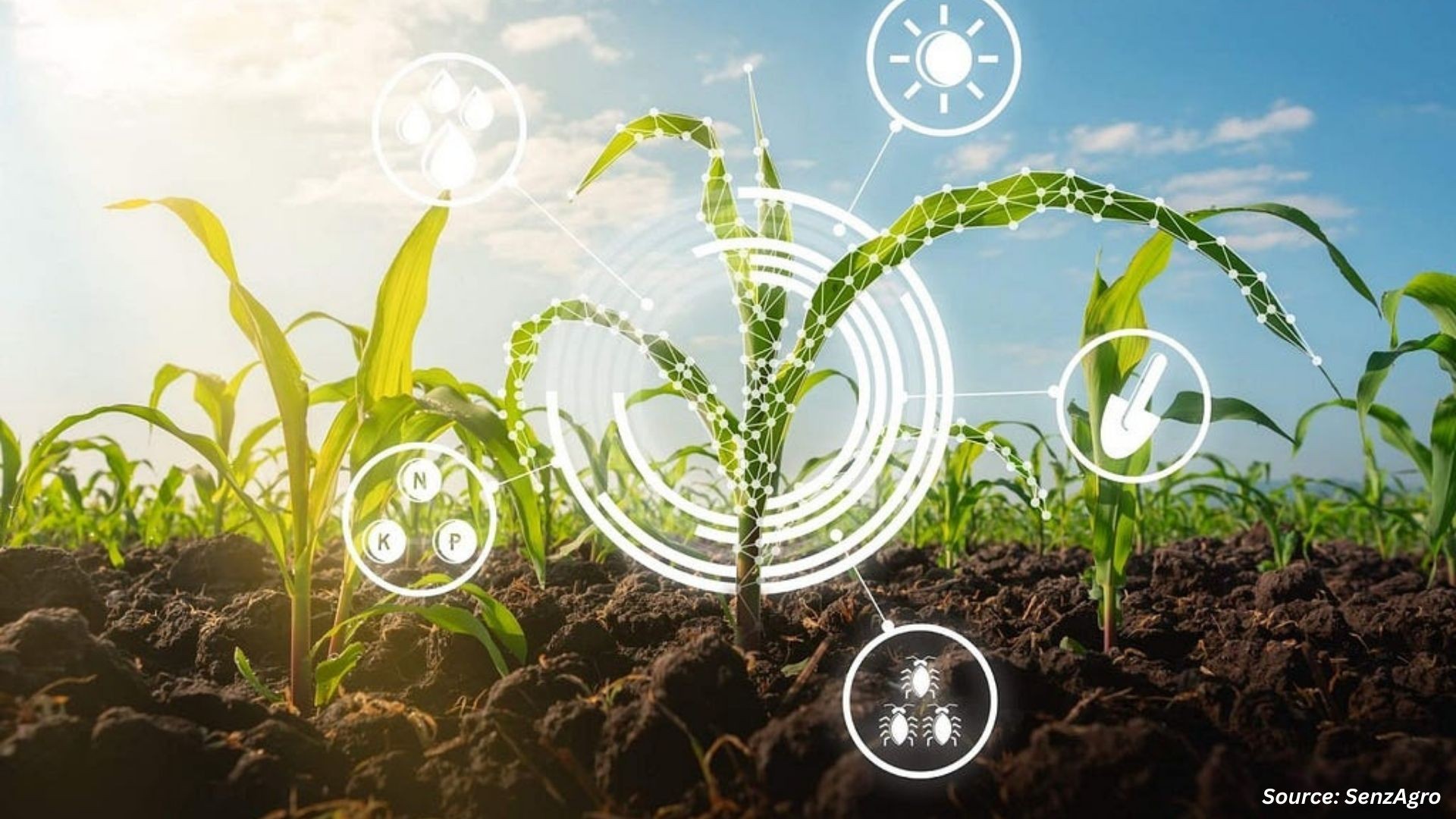 Innovations Driving Sustainable Agriculture Global...
