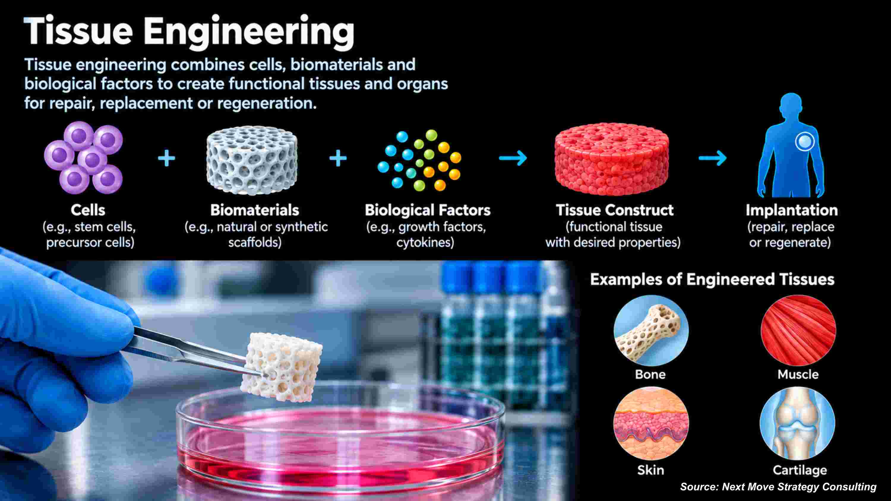 Tissue Engineering Innovations 2025: 3D Bioprinting & AI