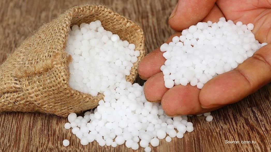 How Food Security Imperatives and Energy Transition Pressures Are Structurally Redefining the Urea Market?