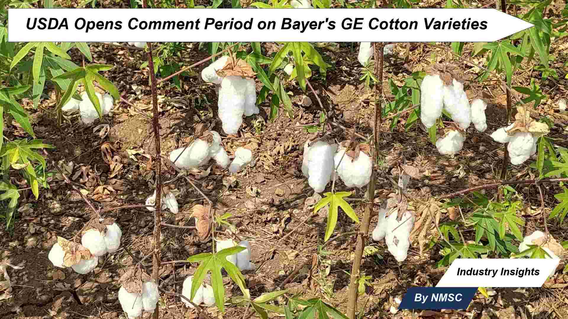 USDA Opens Comment Period on Bayer's GE Cotton Varieties