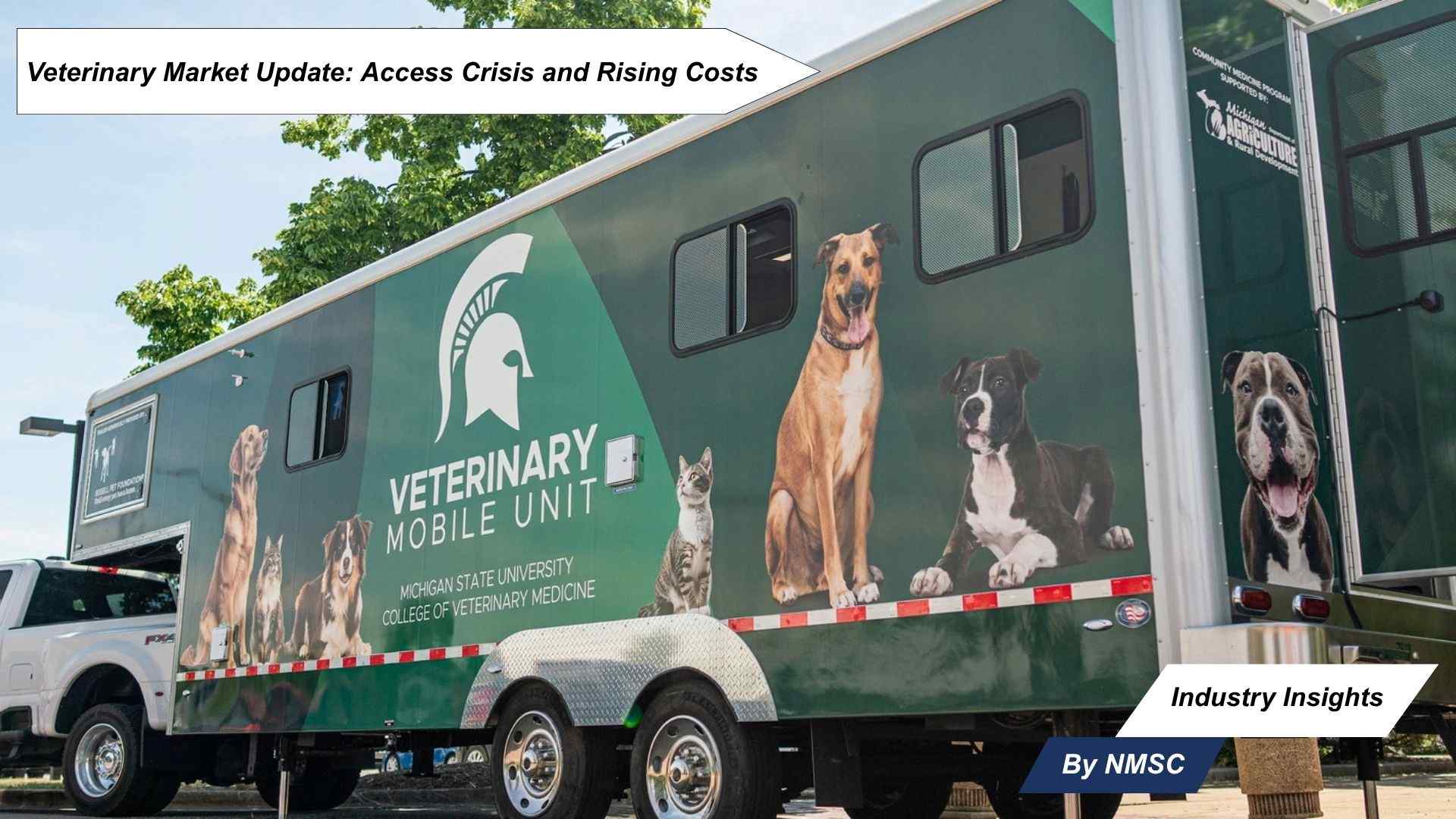 Veterinary Market Update: Access Crisis and Rising Costs