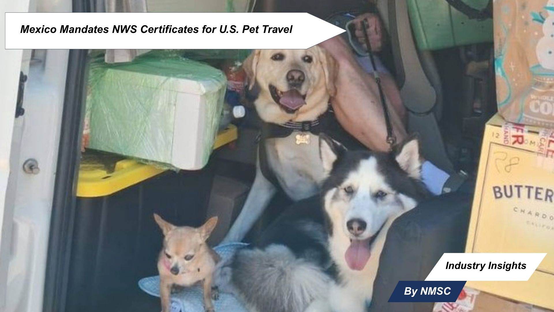 Mexico Mandates NWS Certificates for U.S. Pet Travel