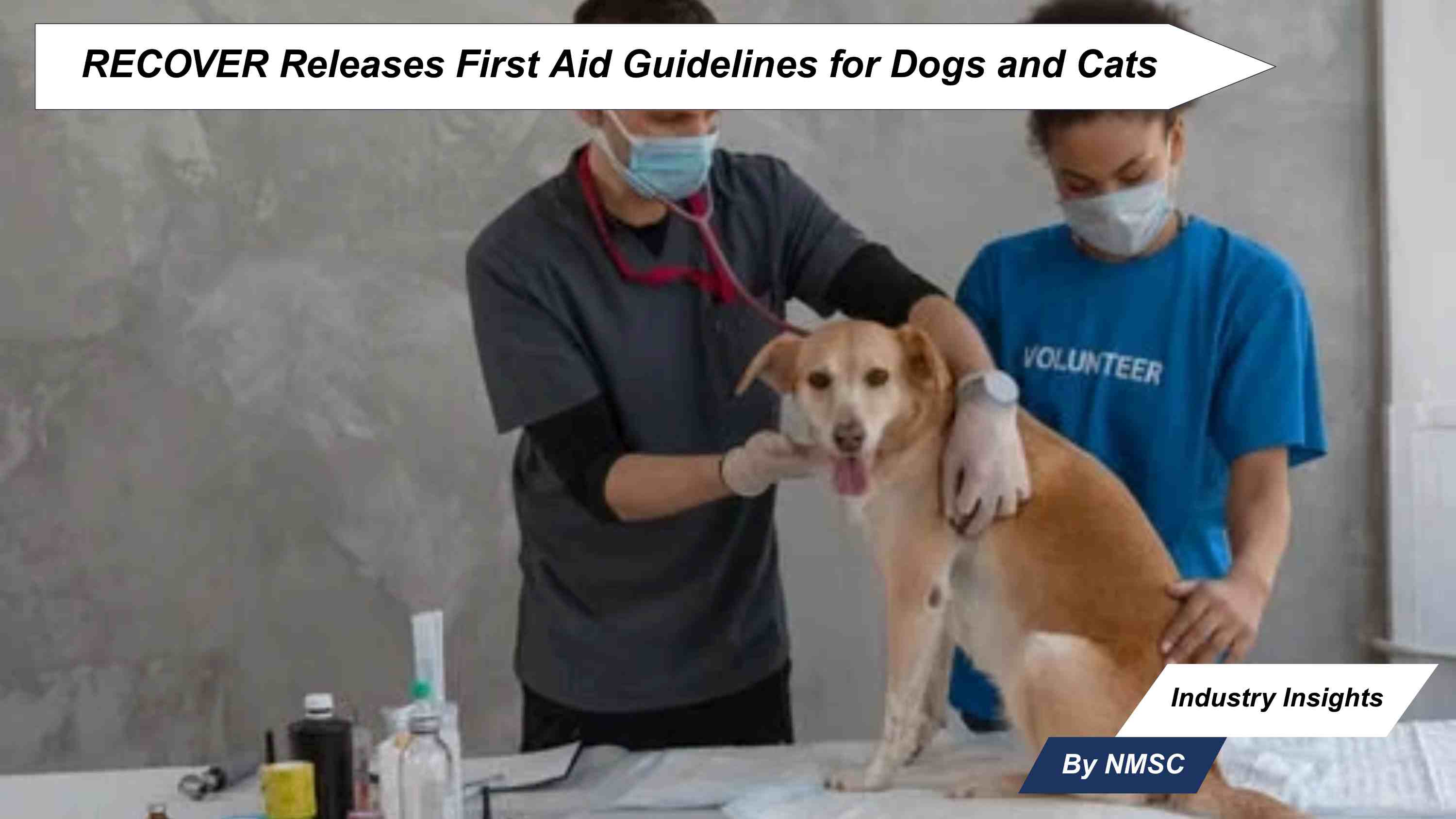 RECOVER Releases First Aid Guidelines for Dogs and Cats