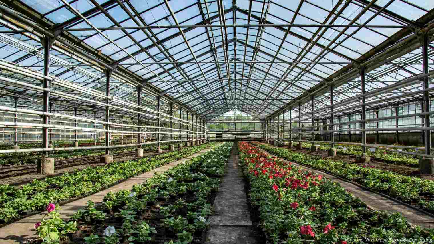 What's Powering the Commercial Greenhouse Boom in 2025?