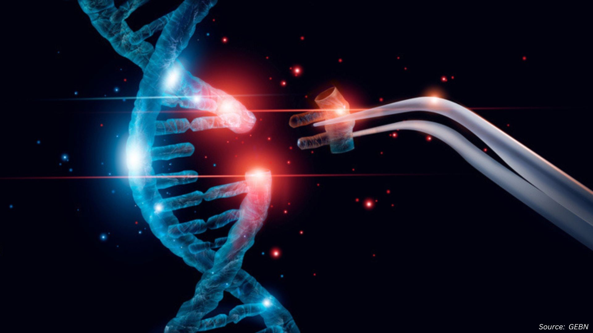 Base Editing Market: Scientific Milestones and Strategic Momentum Redefine Genetic Medicine