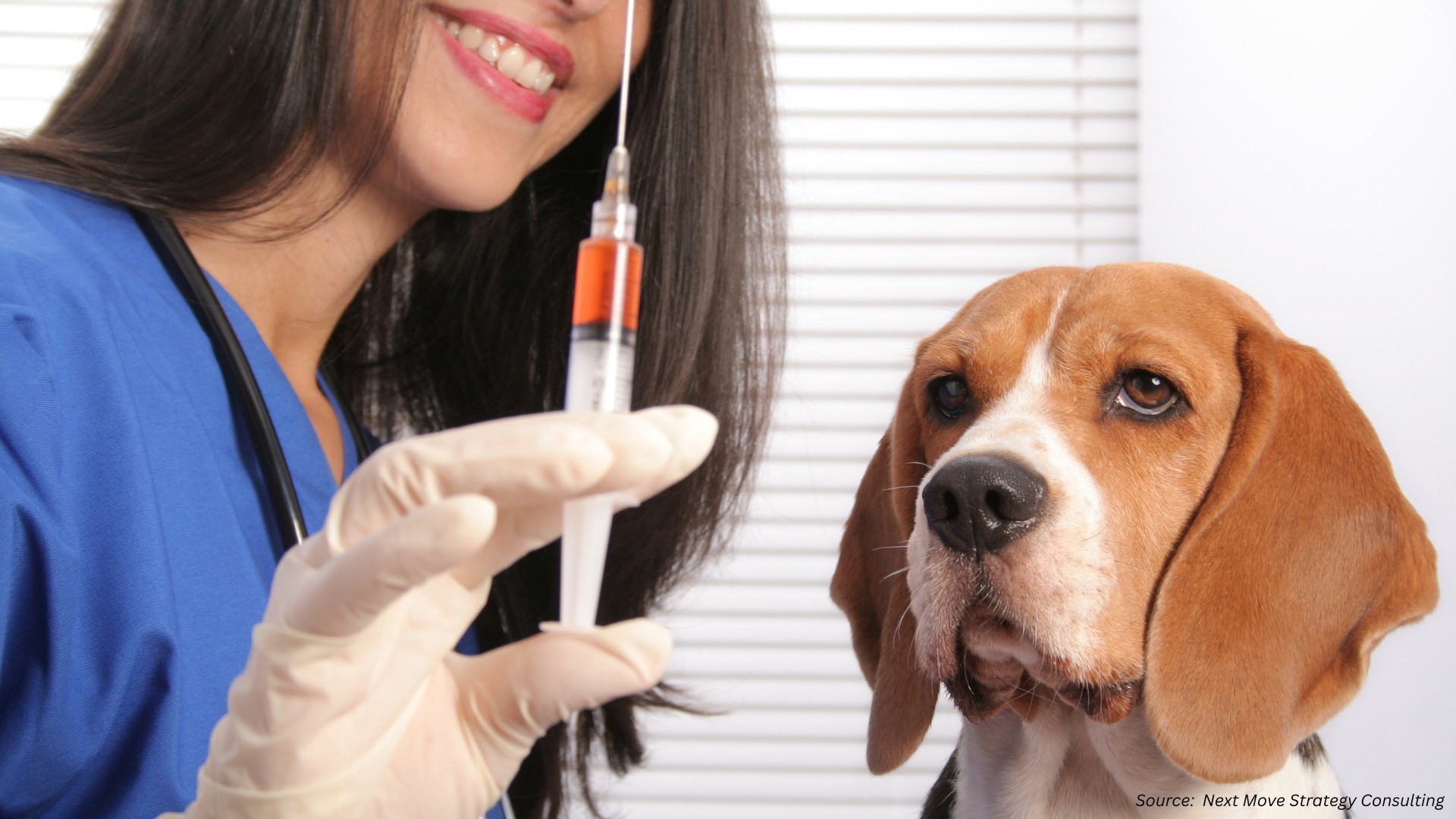 The Role of Animal Vaccines in Shaping COVID-19 Vaccine Strategies