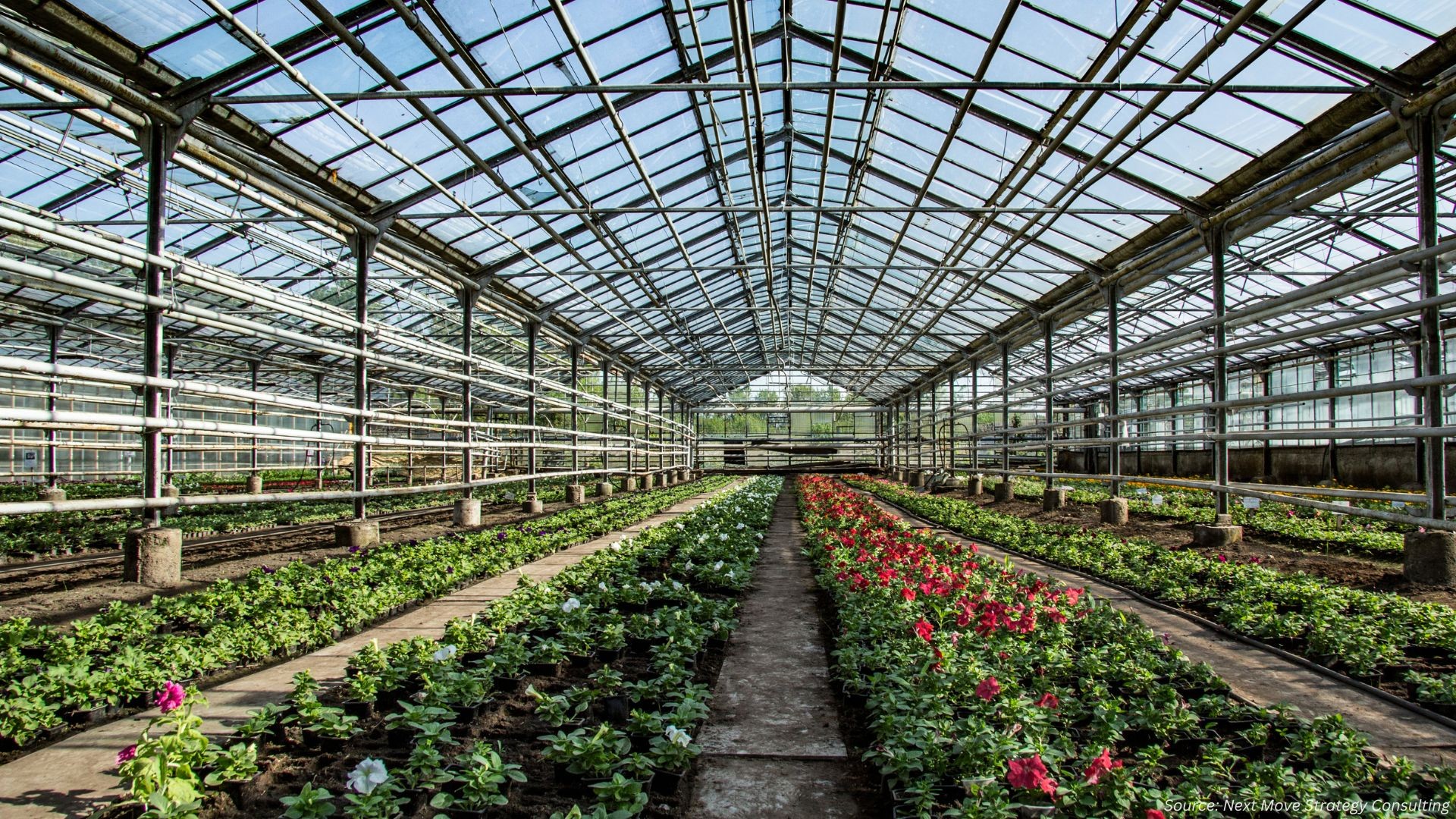What's Powering the Commercial Greenhouse Boom in 2025?