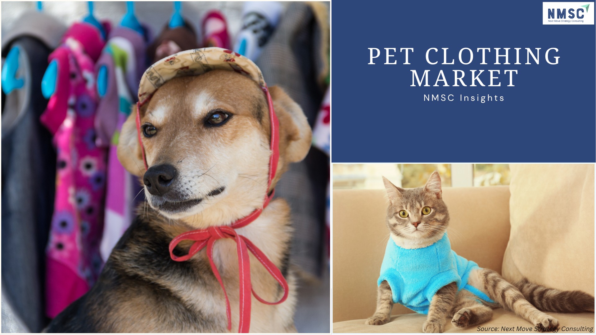 Who’s Leading the Pet Clothing Market in 2025?