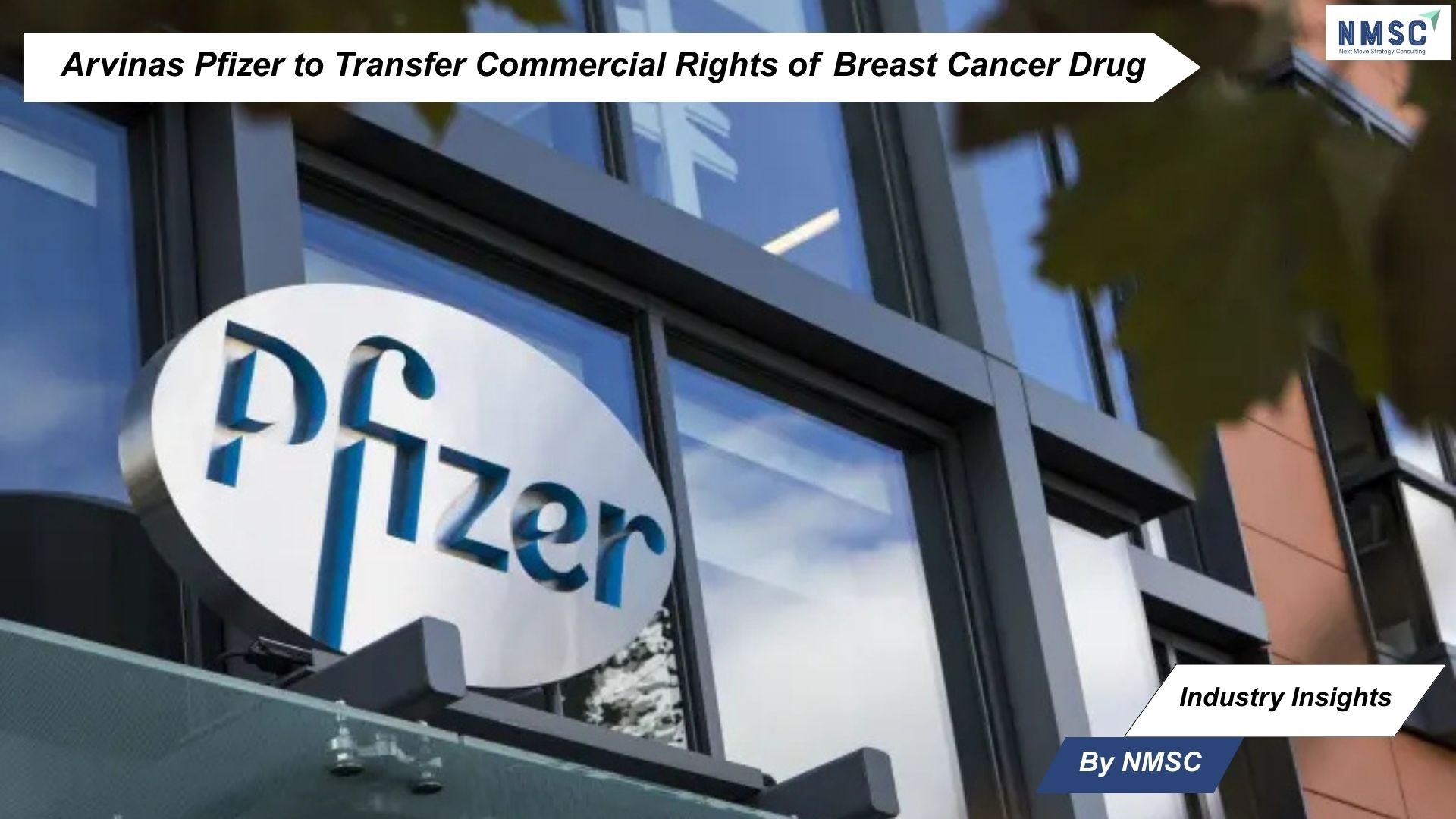 Arvinas Pfizer to Transfer Commercial Rights of Breast Cancer Drug