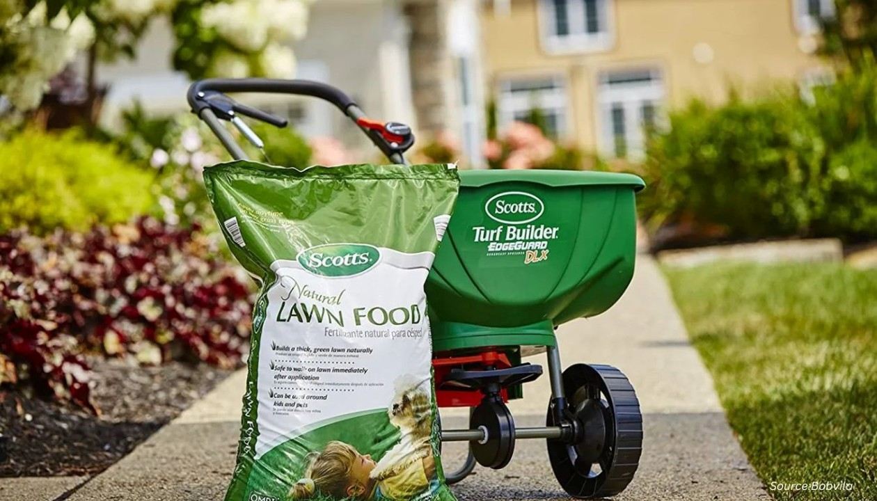 From Fertilizers to Pest Control: What Canadian Gardeners are Buying in 2025