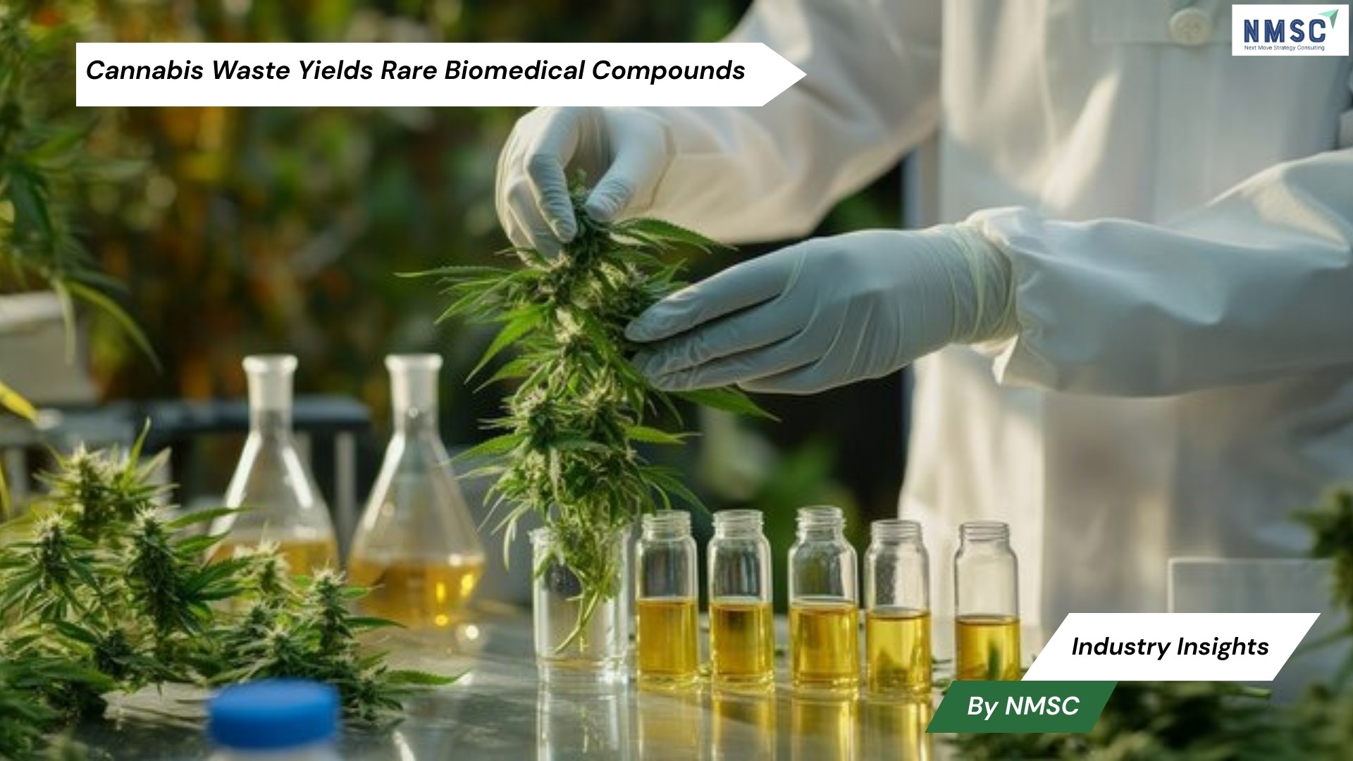 Cannabis Waste Reveals Rare Compounds with Biomedical Potential