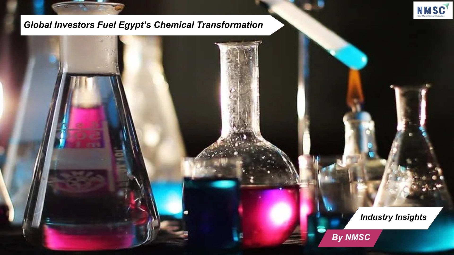 Global Investors Fuel Egypt’s Chemical Transformation