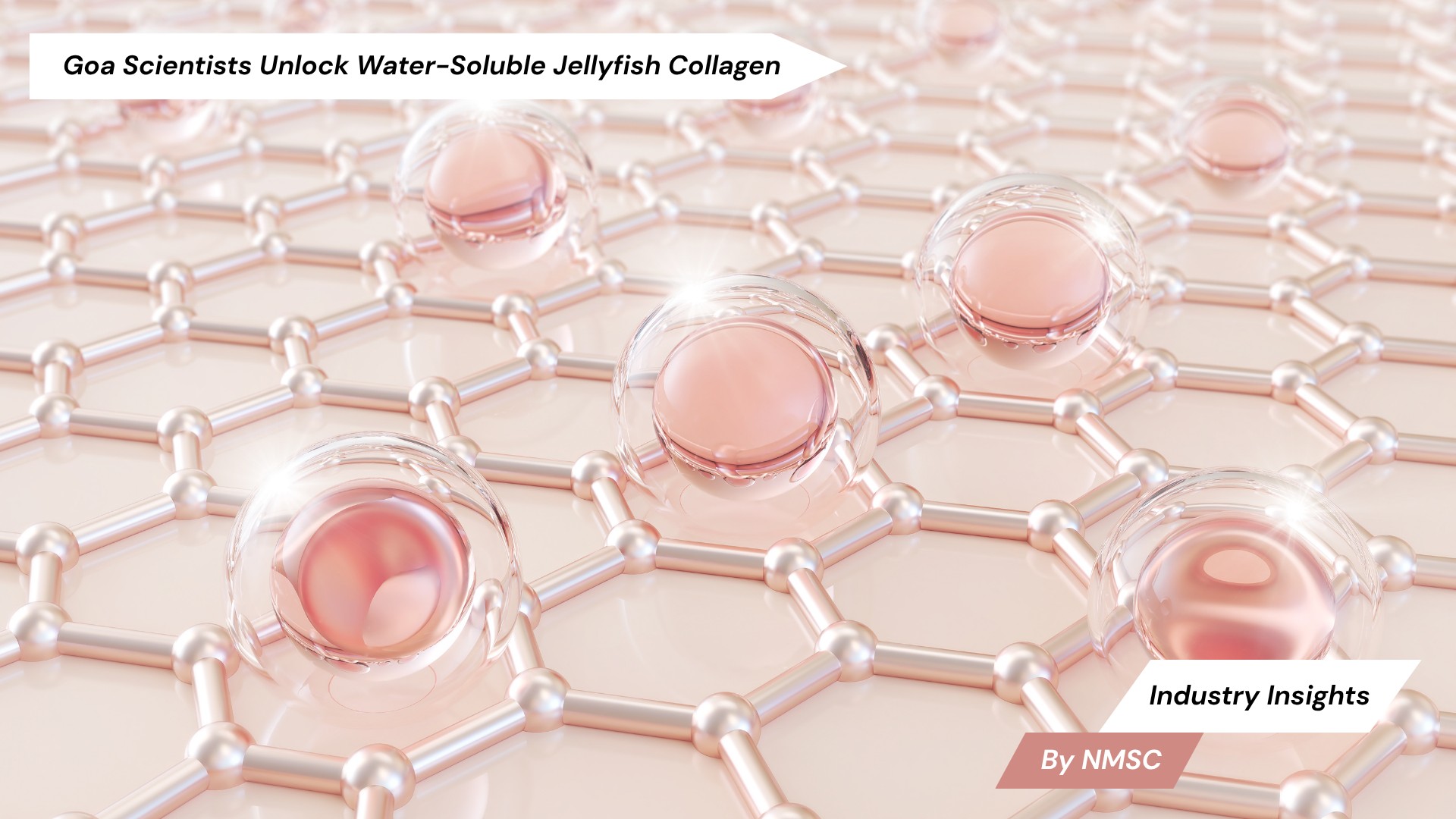 Goa Scientists Unlock Water-Soluble Jellyfish Collagen