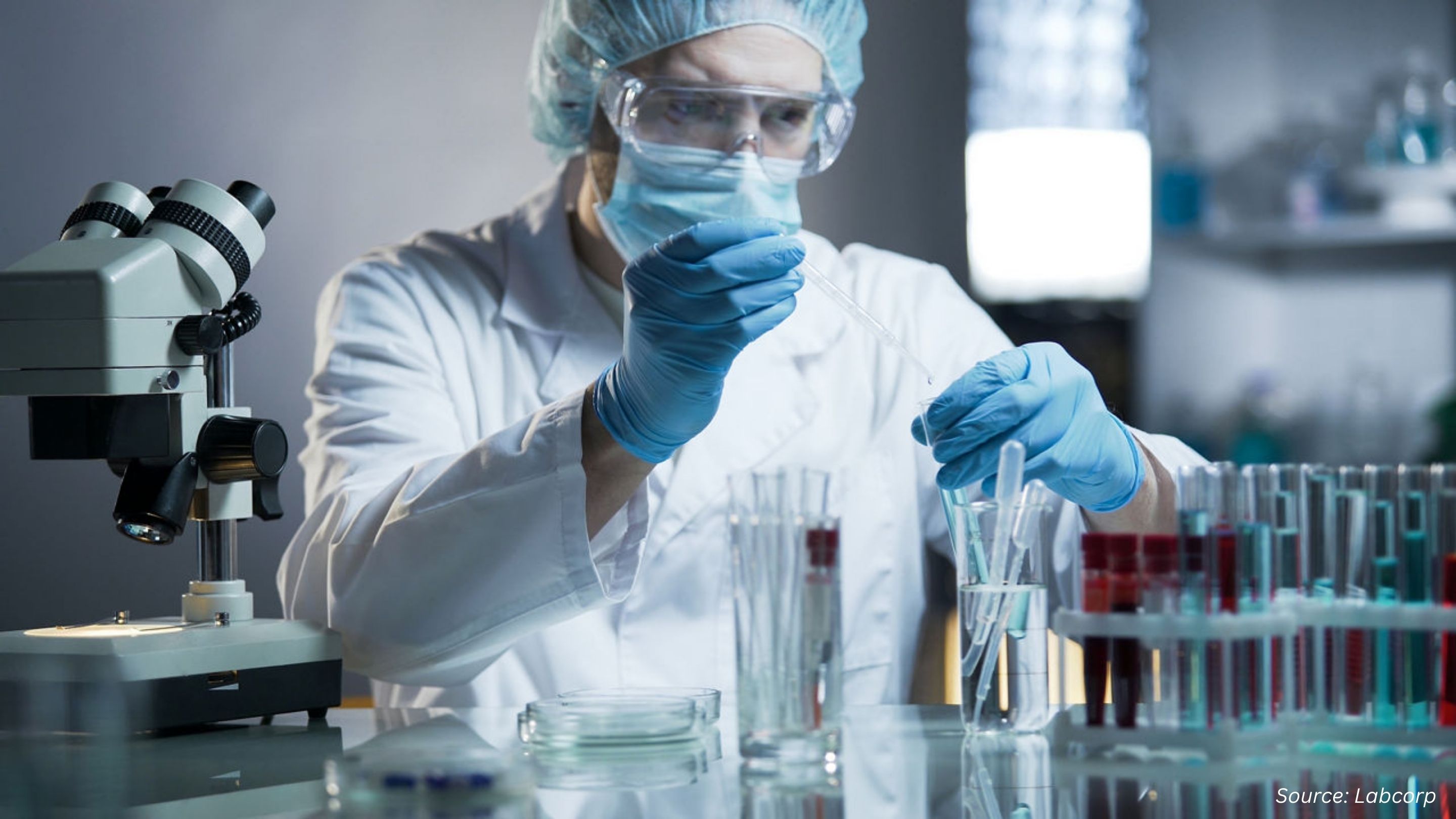 Why Early Toxicity Testing Matters in Pharma