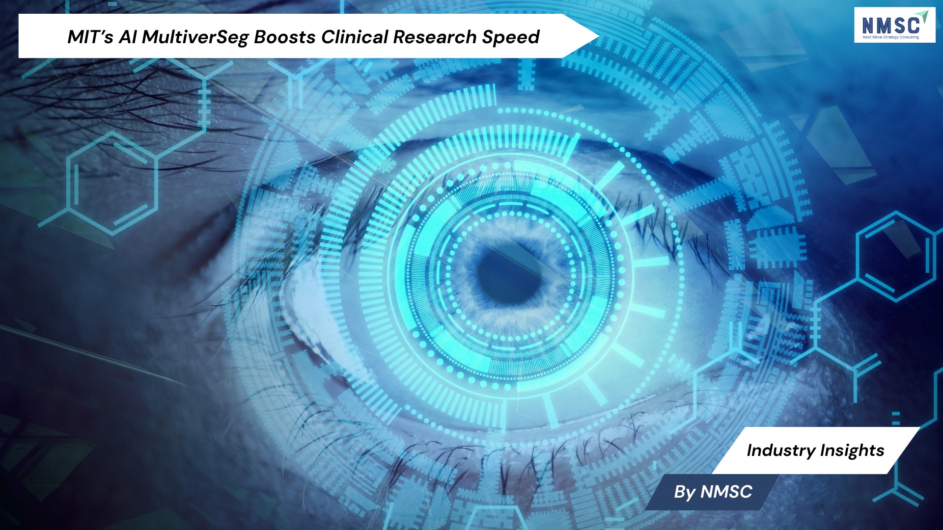 MIT’s AI MultiverSeg Boosts Clinical Research Speed