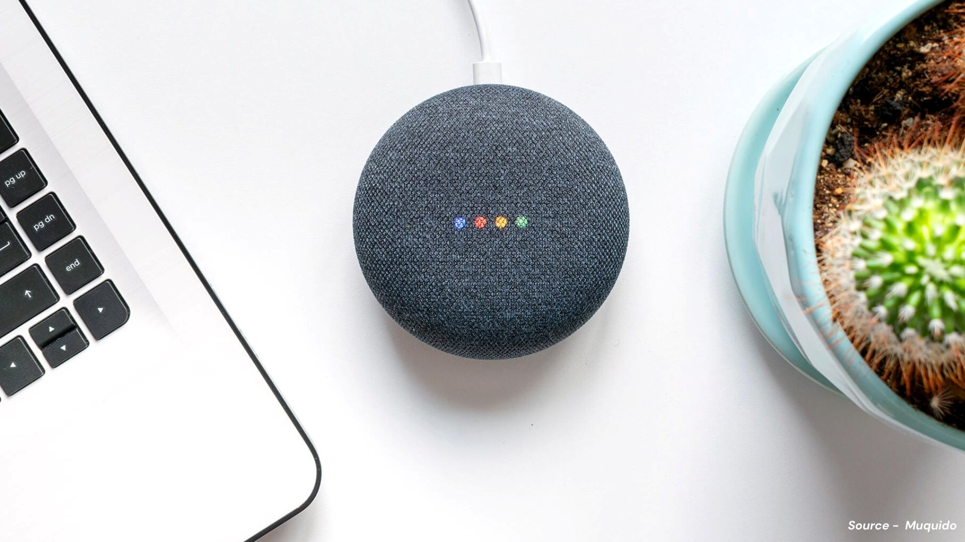 India Voice Assistant Market: Navigating Growth and Innovation