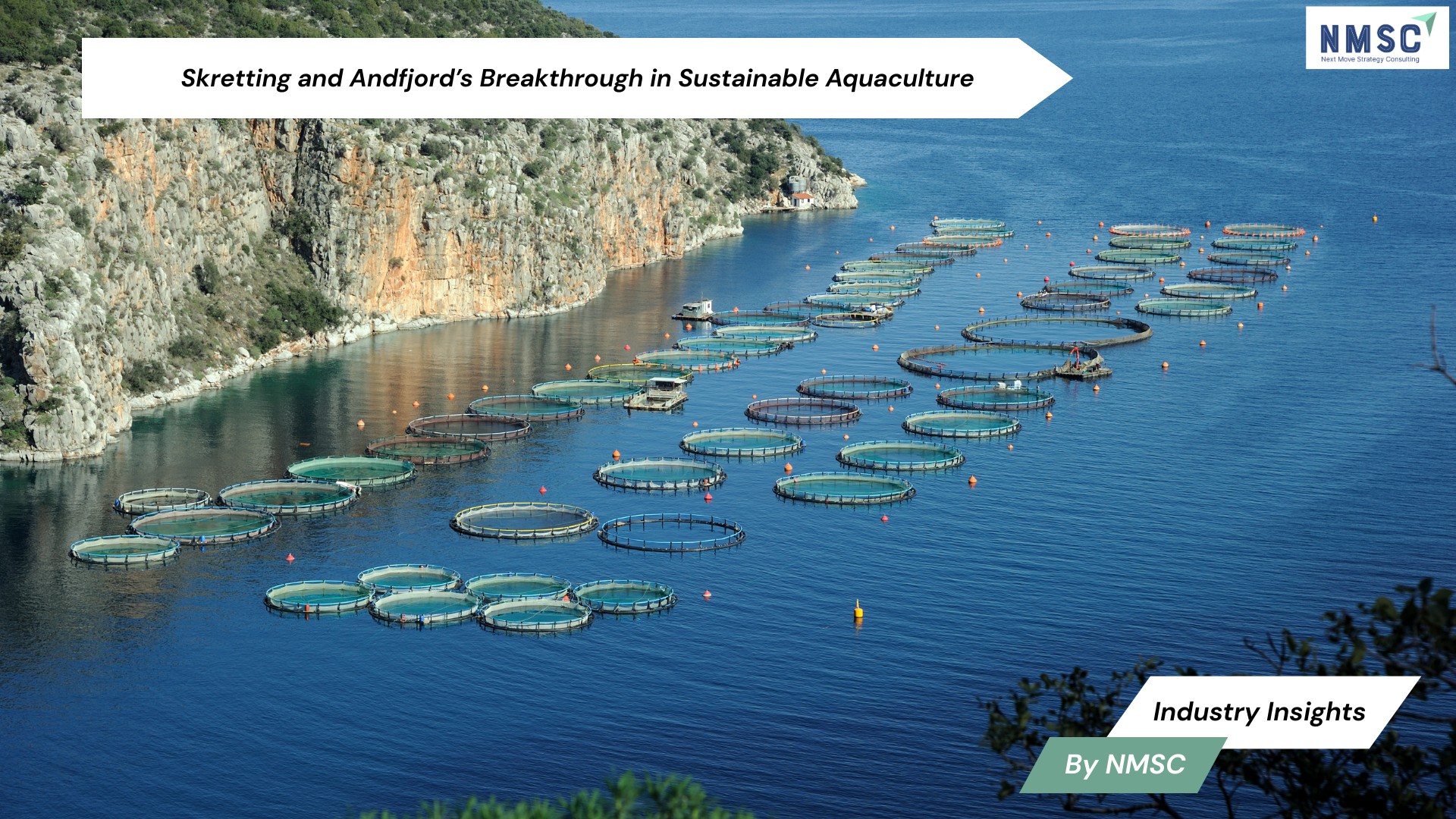 Skretting and Andfjord’s Breakthrough in Sustainable Aquaculture