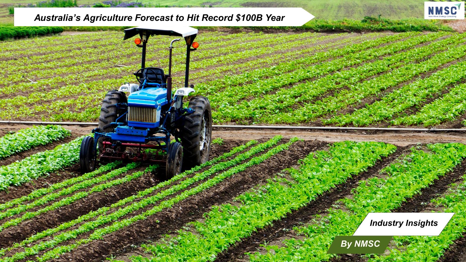 Australia’s Agriculture Forecast to Hit Record $100B Year