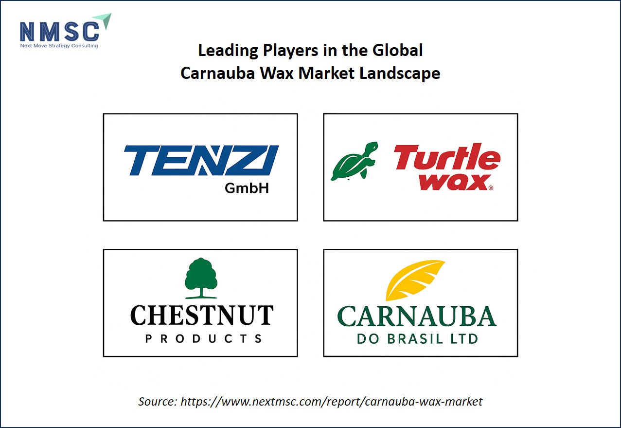 Leading players in the global Carnauba Wax Market landscape Leading players in the global Carnauba Wax Market landscape