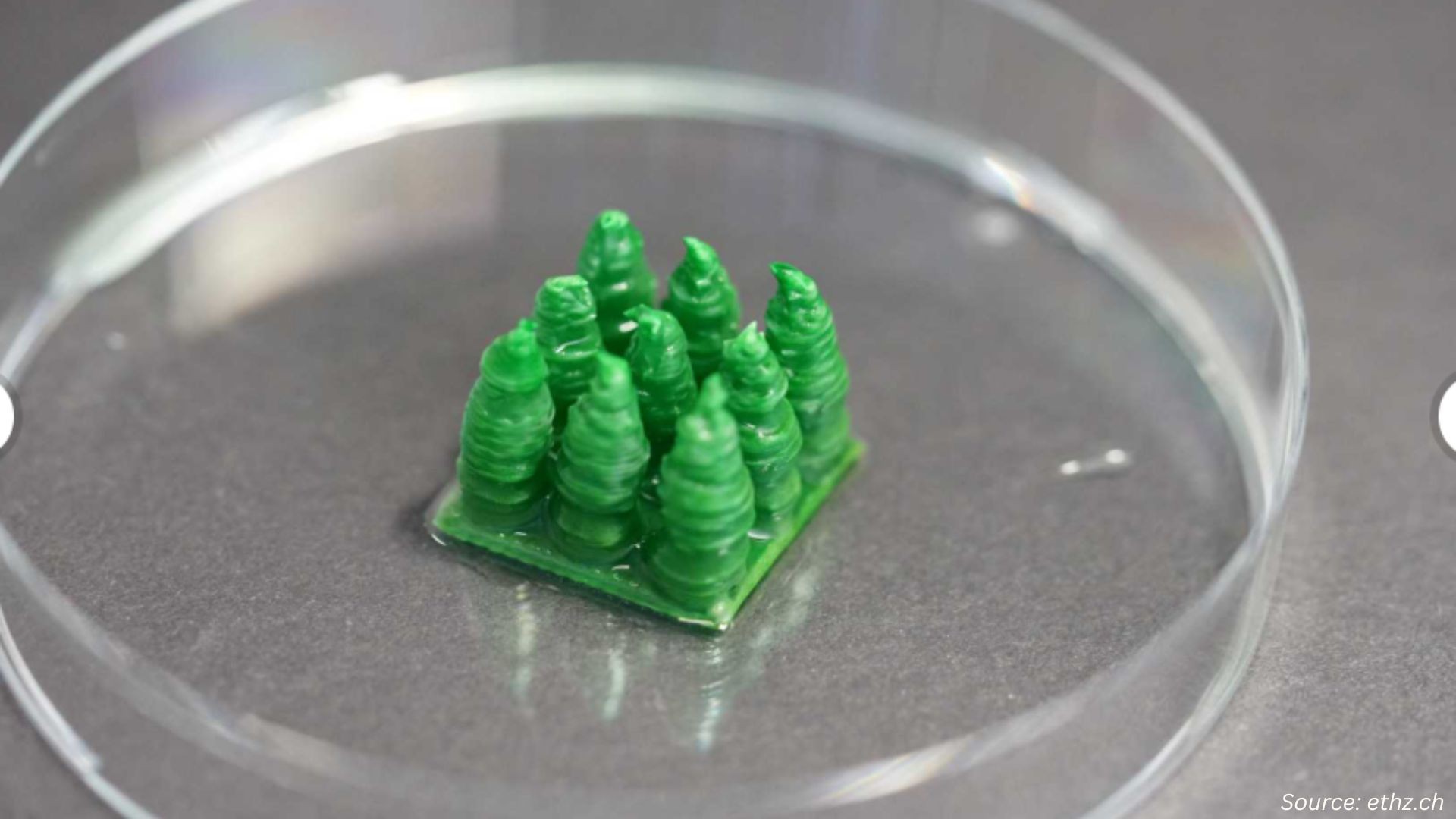 Living Building Materials: What’s Driving the Growth?