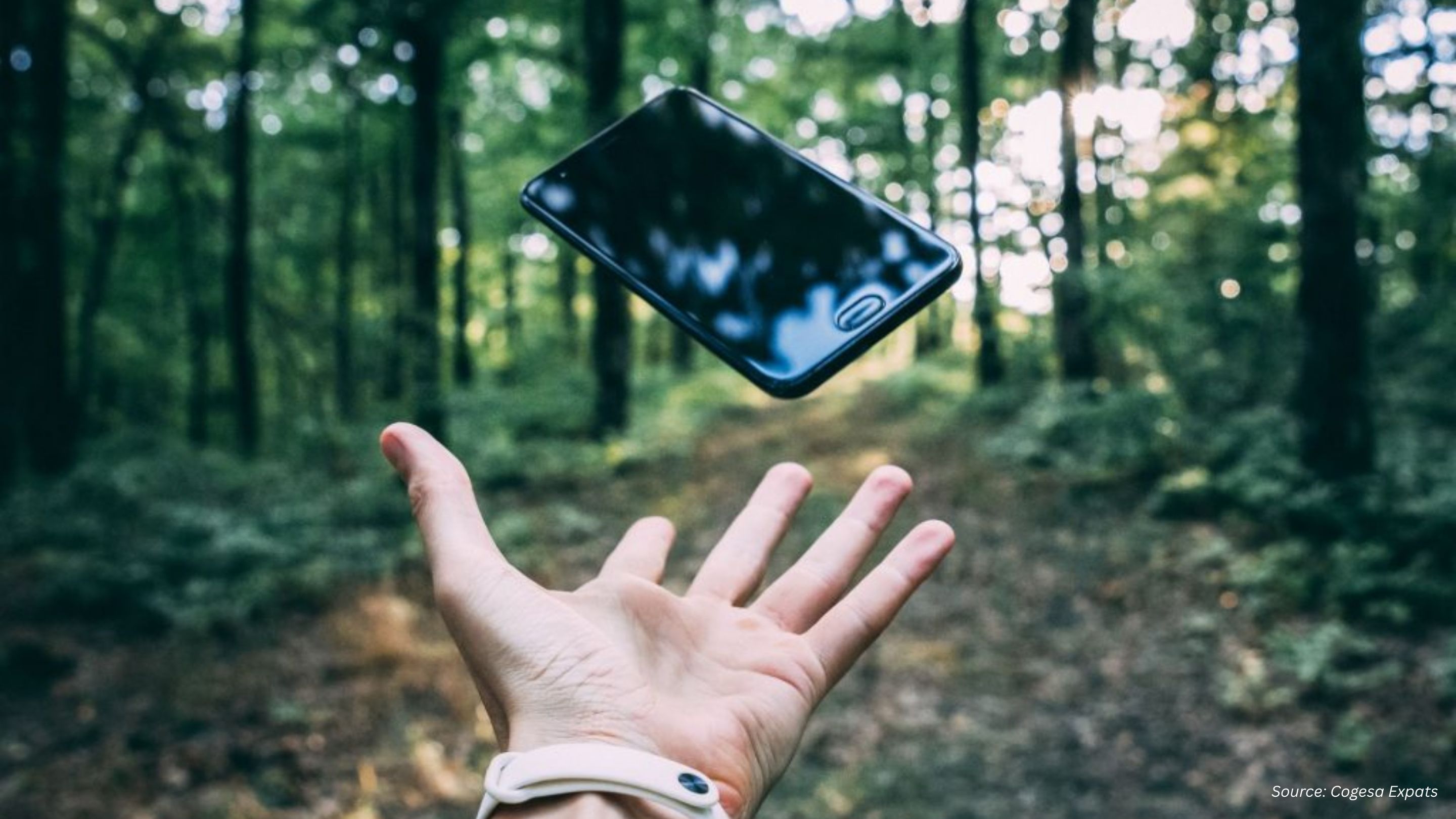Do You Need Mobile Insurance? Here’s Why!