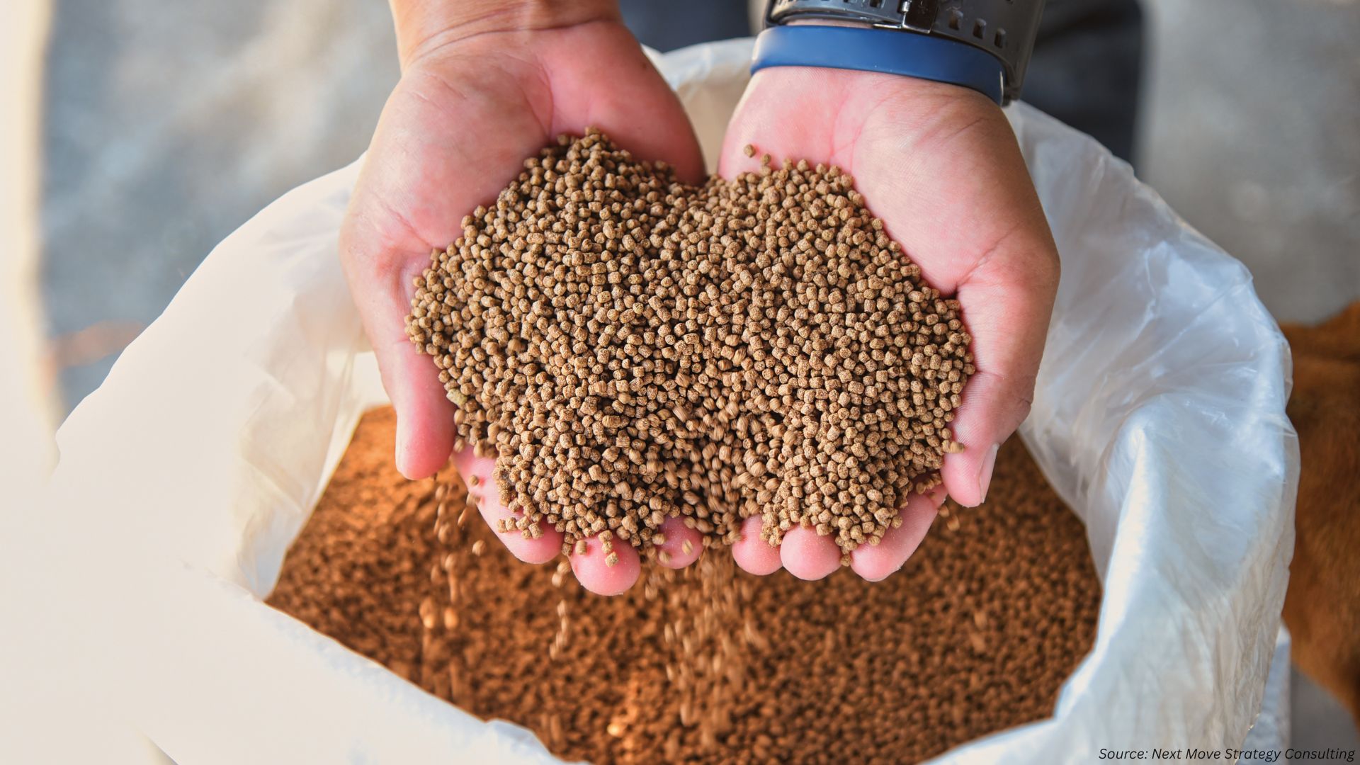 How Is the Aquafeed Market Driving Sustainability in 2025?