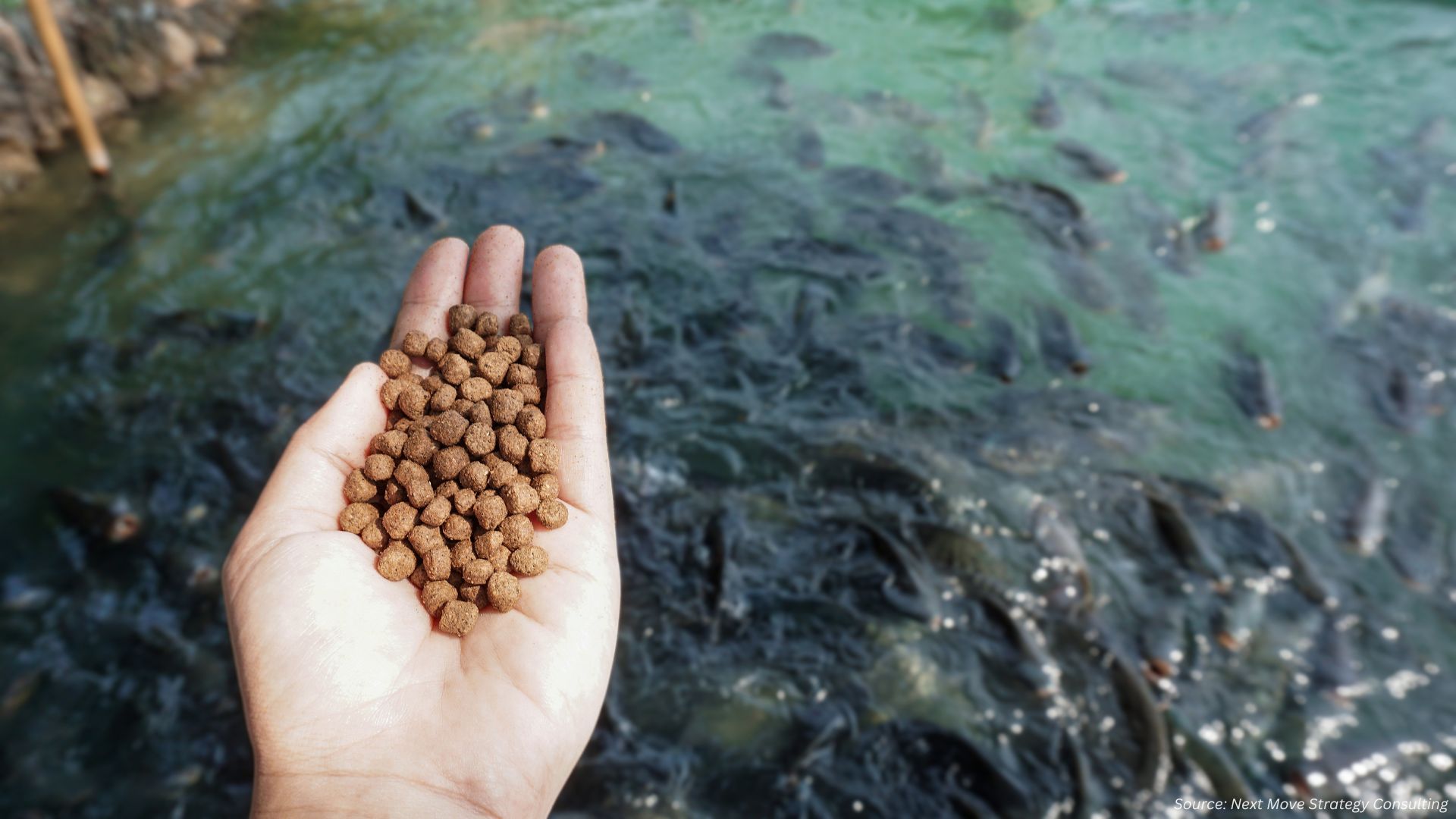 Aquafeed Market Evolves with Sustainable Innovations in 2024-2025