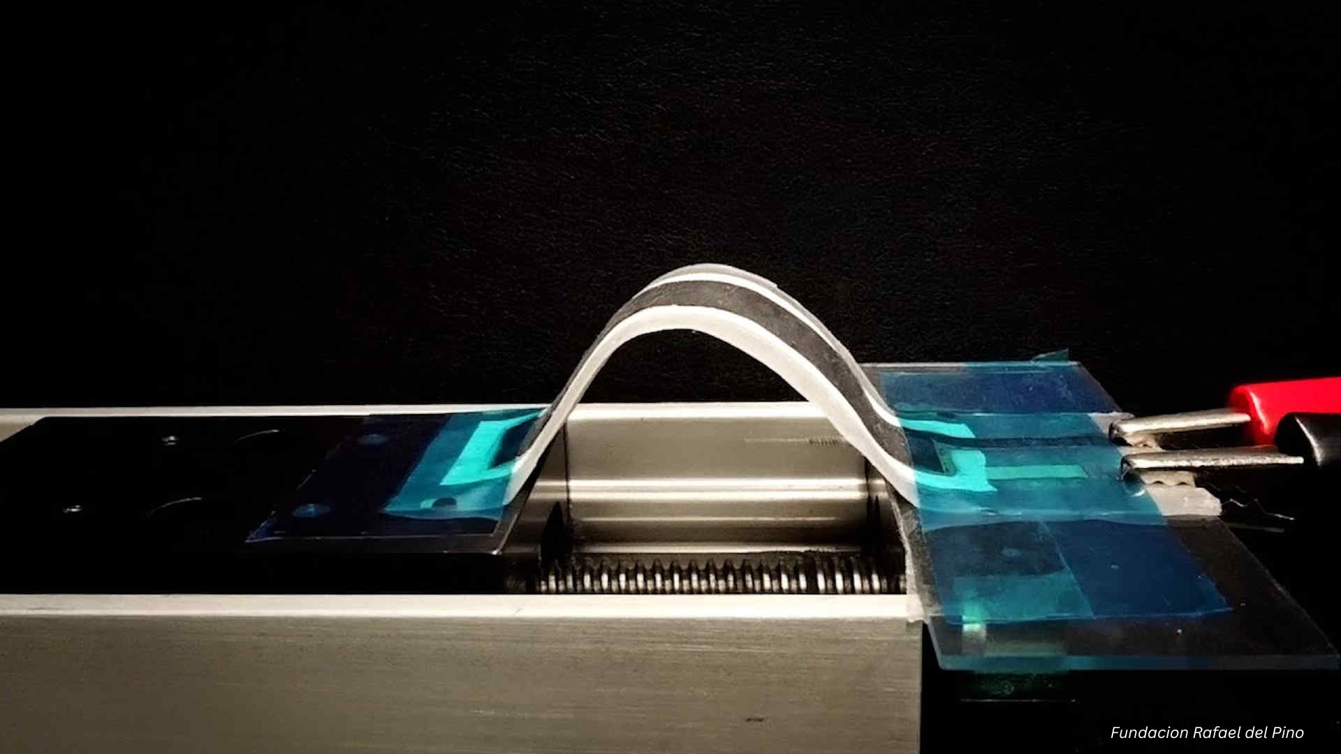 Flexible Batteries Powering the Future: 2024–2025 Innovations