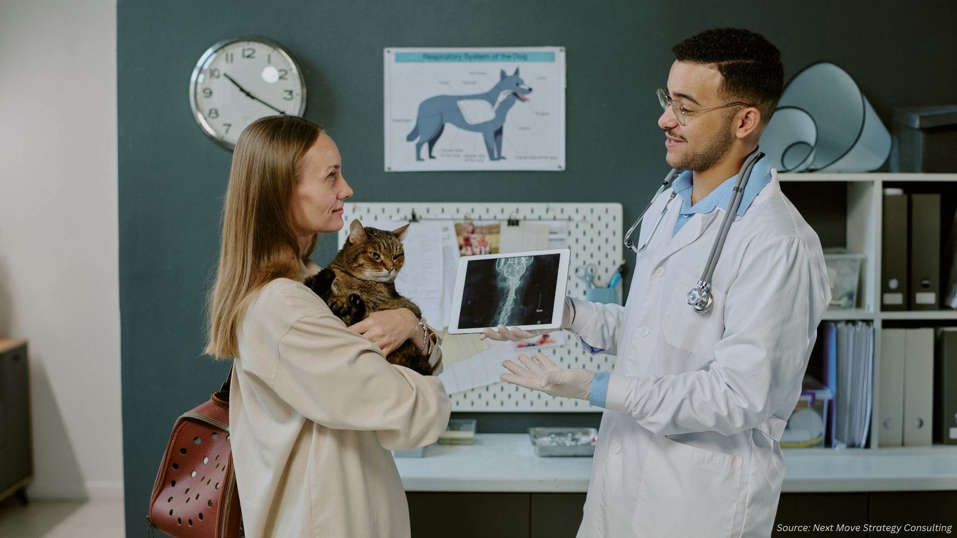 What's Driving the Veterinary Imaging Market in 2024–2025?