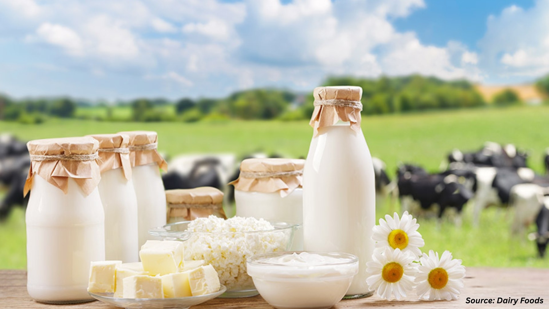 Organic Dairy Food and Drinks Innovations Gain Momentum