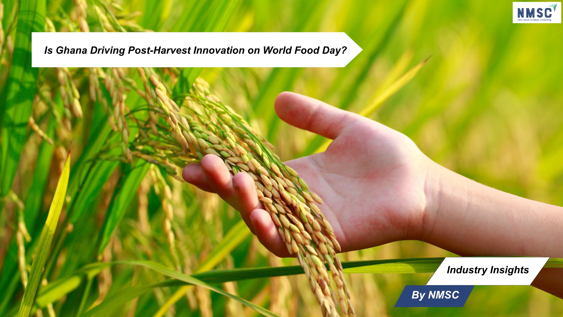 Is Ghana Driving Post-Harvest Innovation on World Food Day?