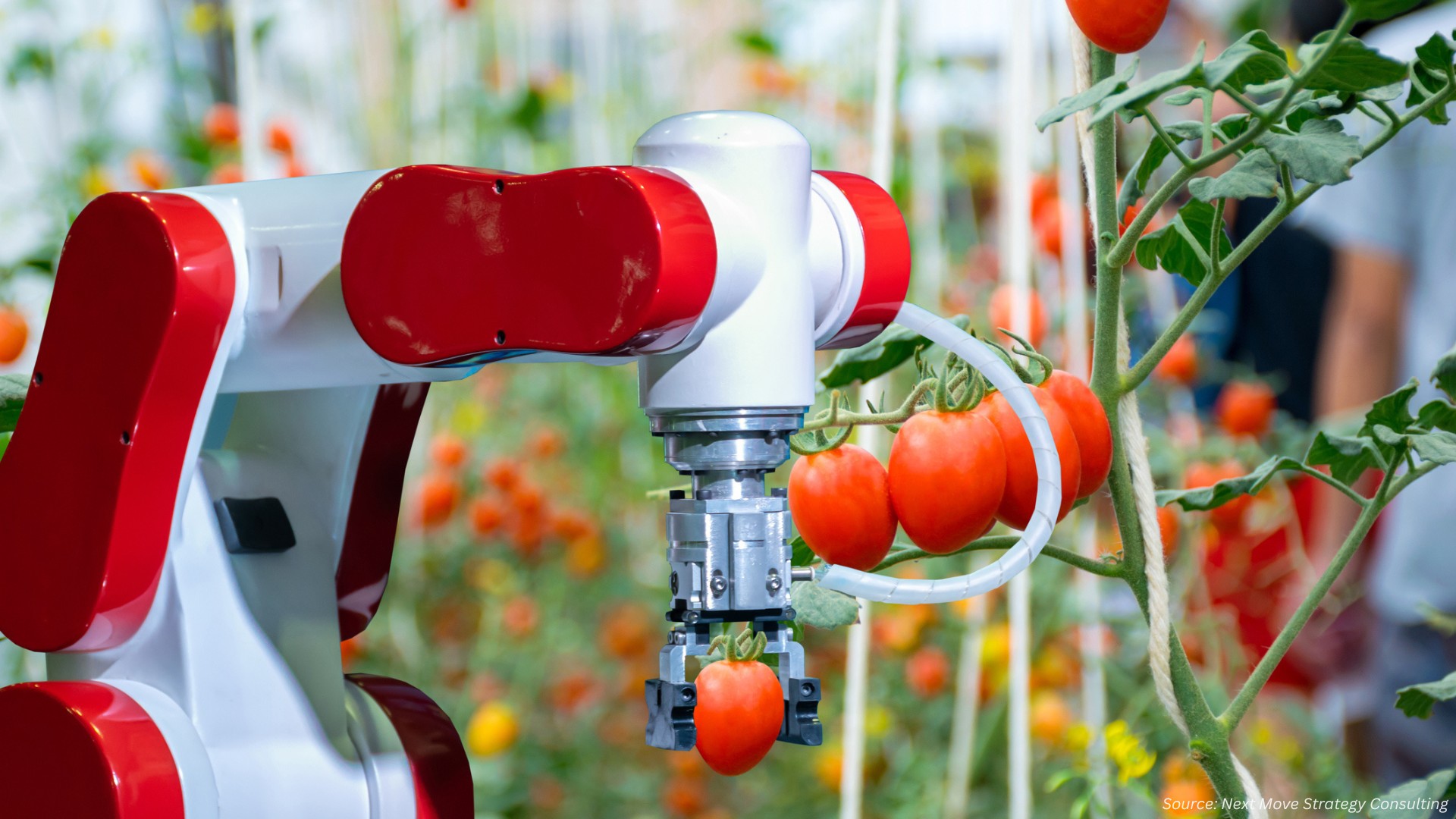 Is Precision Irrigation the Game-Changer India's Water-Wise Farms Need in 2025?