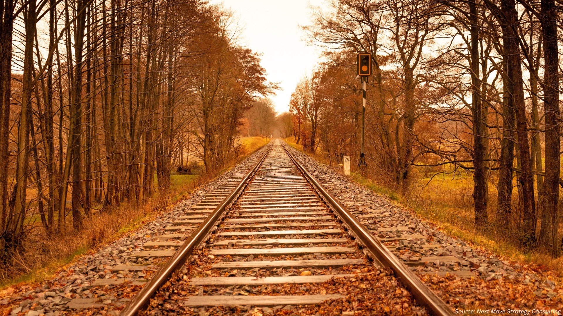 Railroad Market 2025: Is Consolidation Driving Resilience?