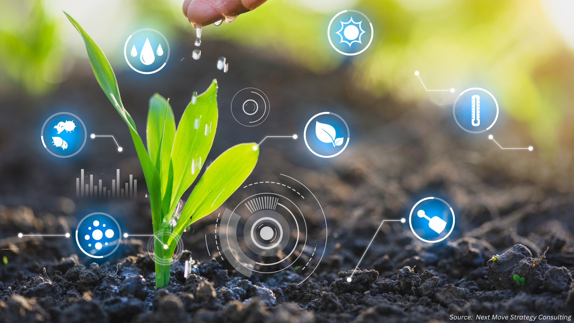 The Future of Seeds: Innovations and Global Impacts