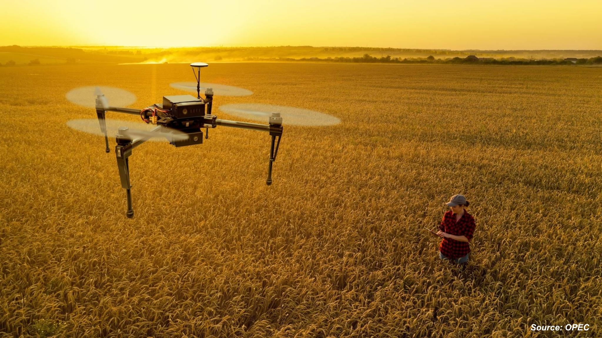 What’s Driving the Rise of Smart Farming with Robots?