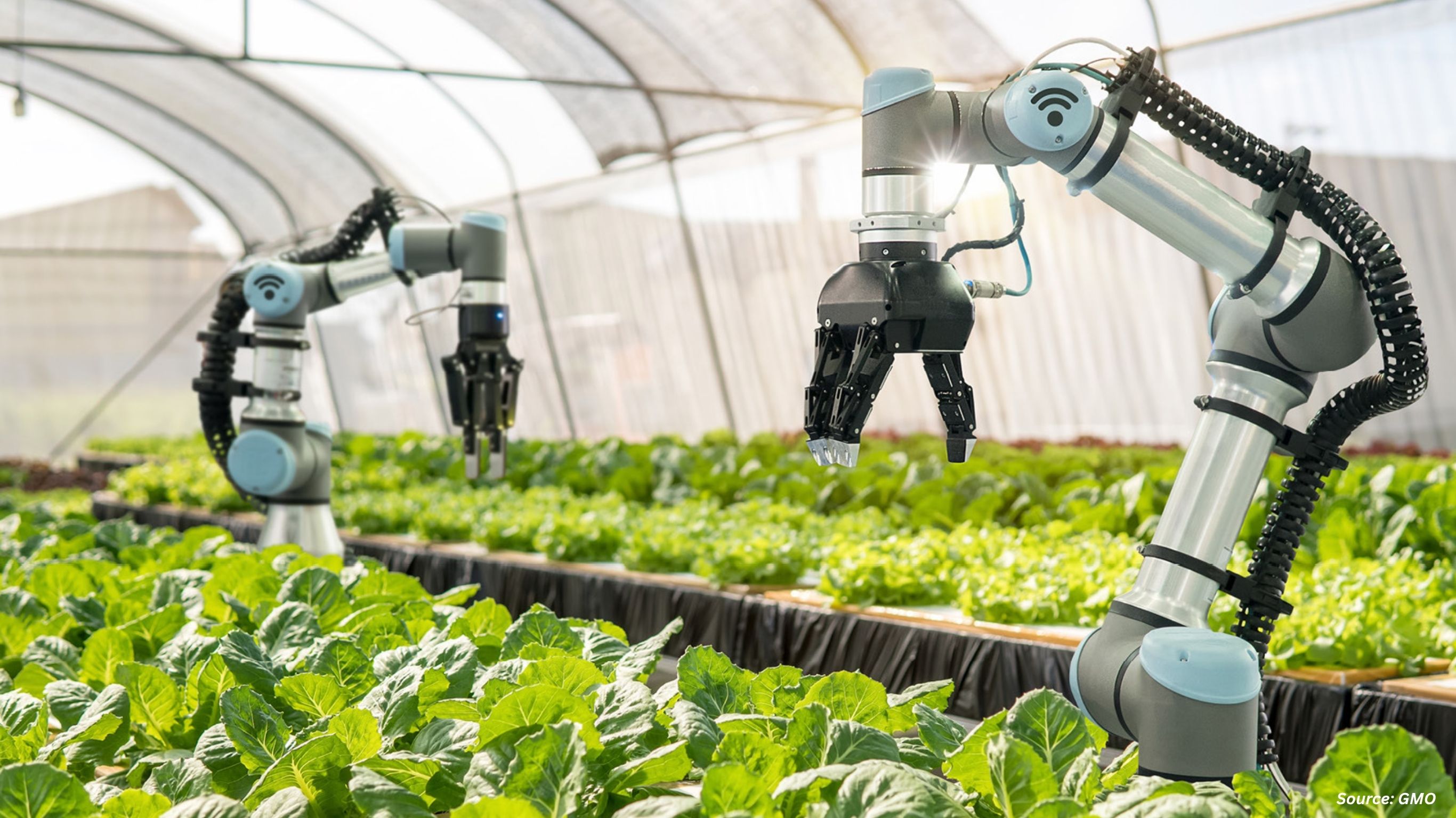 Top Trends in Smart Farming Technologies 2025