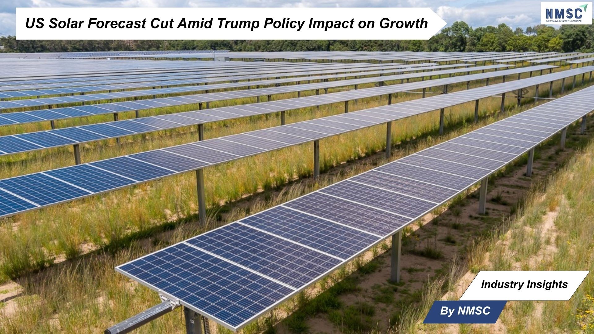 US Solar Forecast Cut Amid Trump Policy Impact on Growth