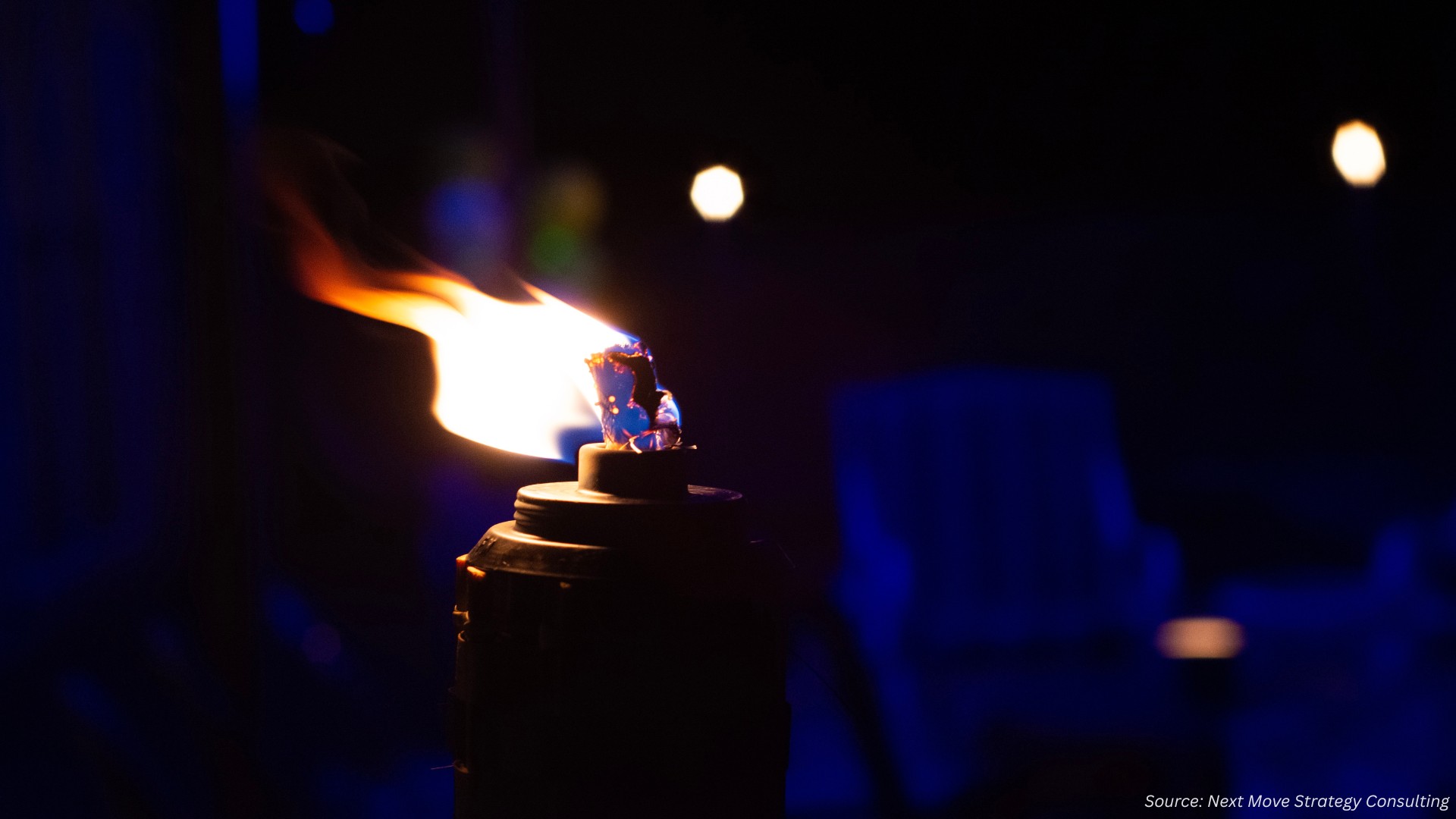 What’s Lighting Up the Tiki Torch Market in 2024-2025?