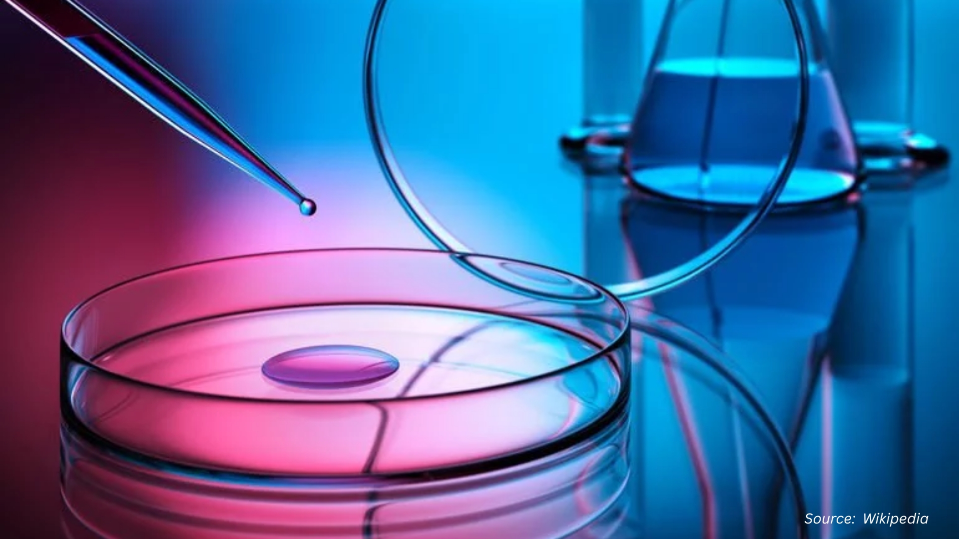 Tissue Engineering Innovations 2025: 3D Bioprintin...