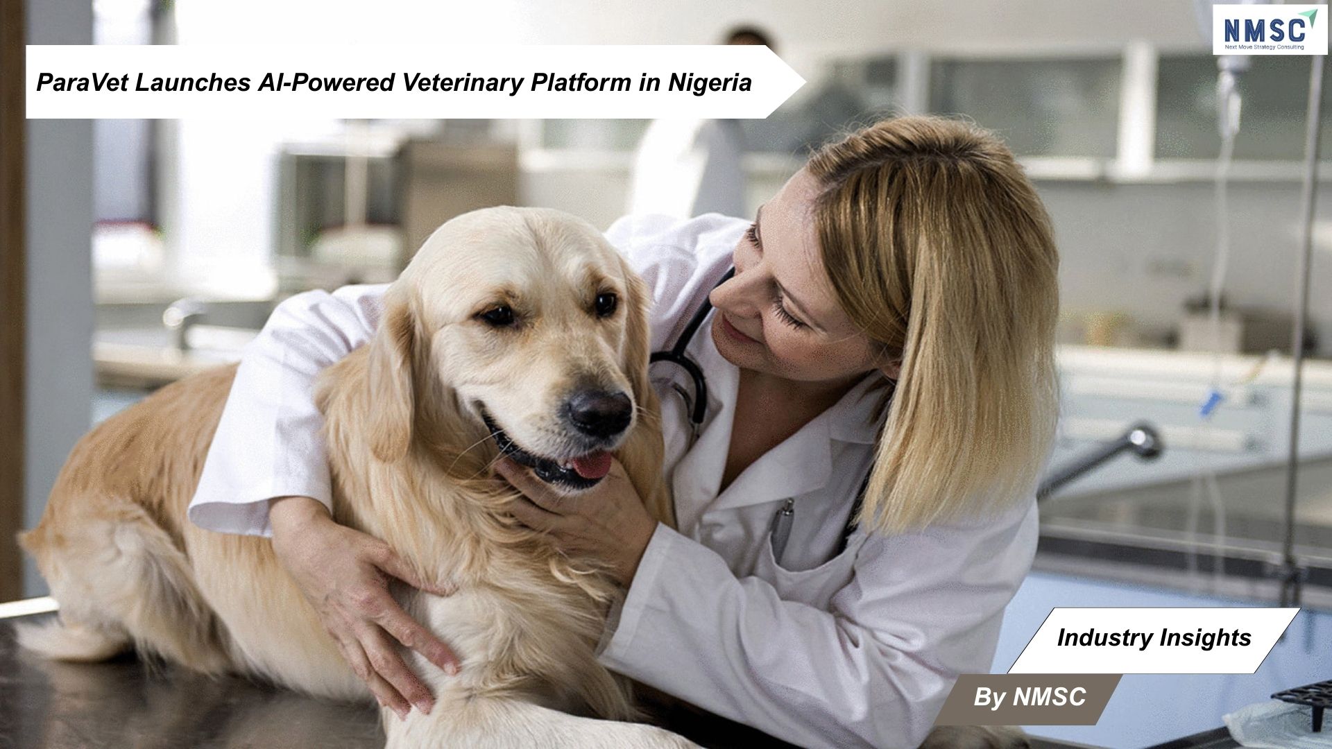 ParaVet Launches AI-Powered Veterinary Platform in Nigeria