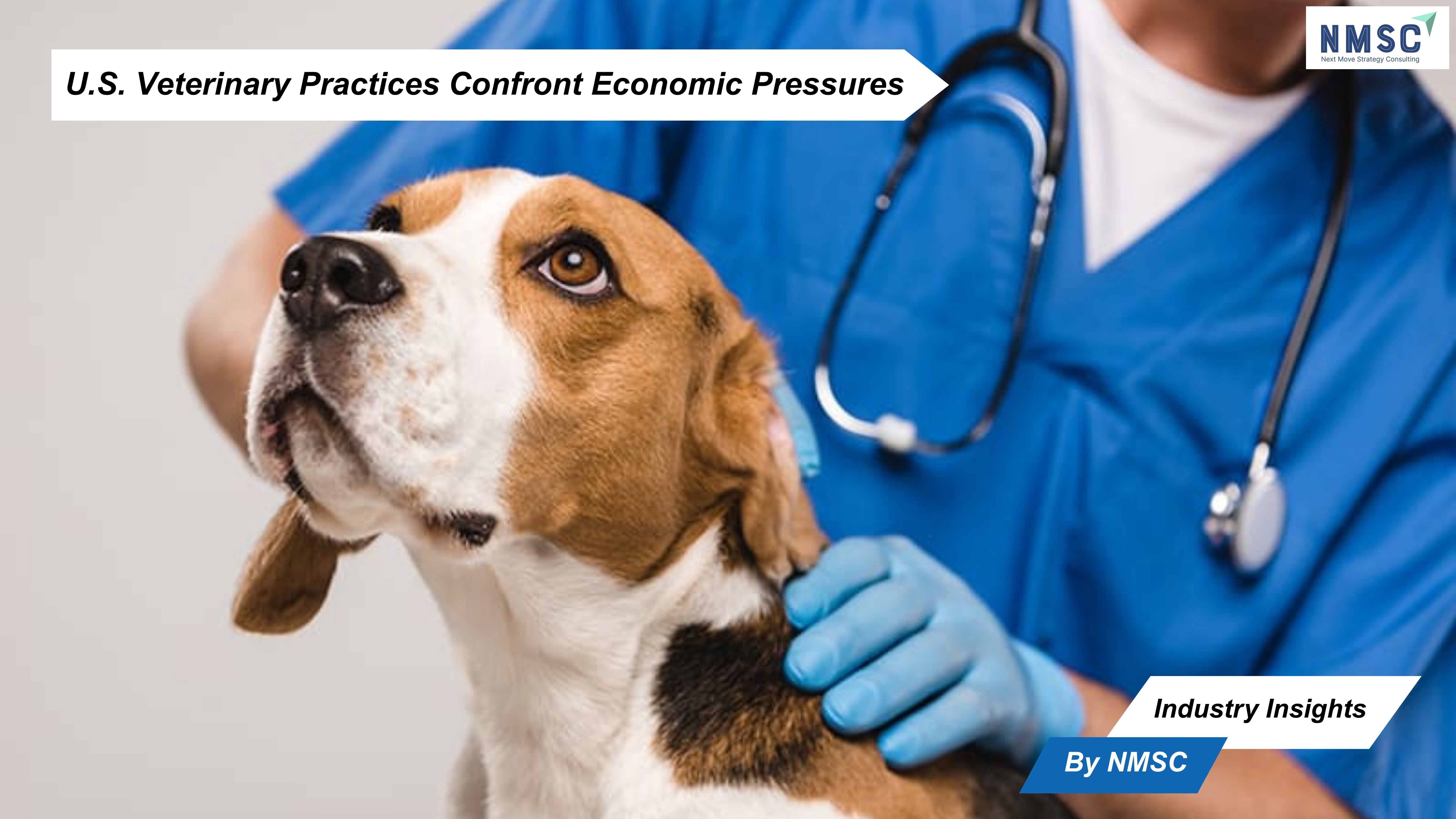 U.S. Veterinary Practices Confront Economic Pressures