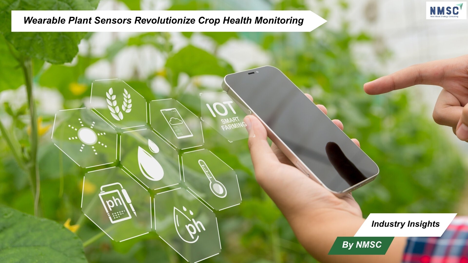 Wearable Plant Sensors Revolutionize Crop Health Monitoring